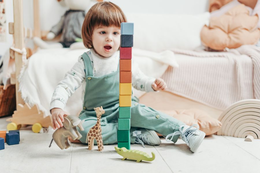 Brinquedos Educativos