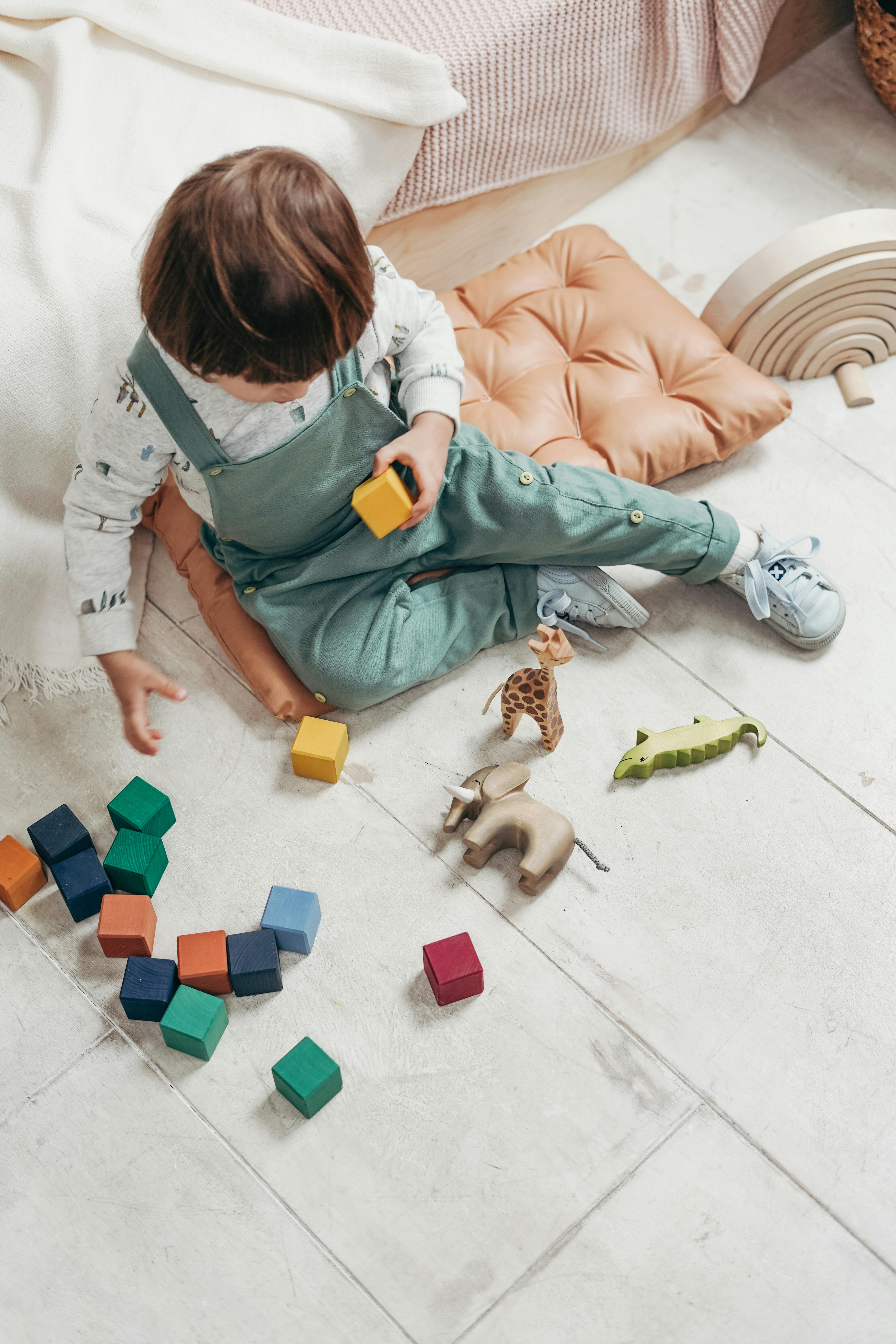 Hamster Play Area Design