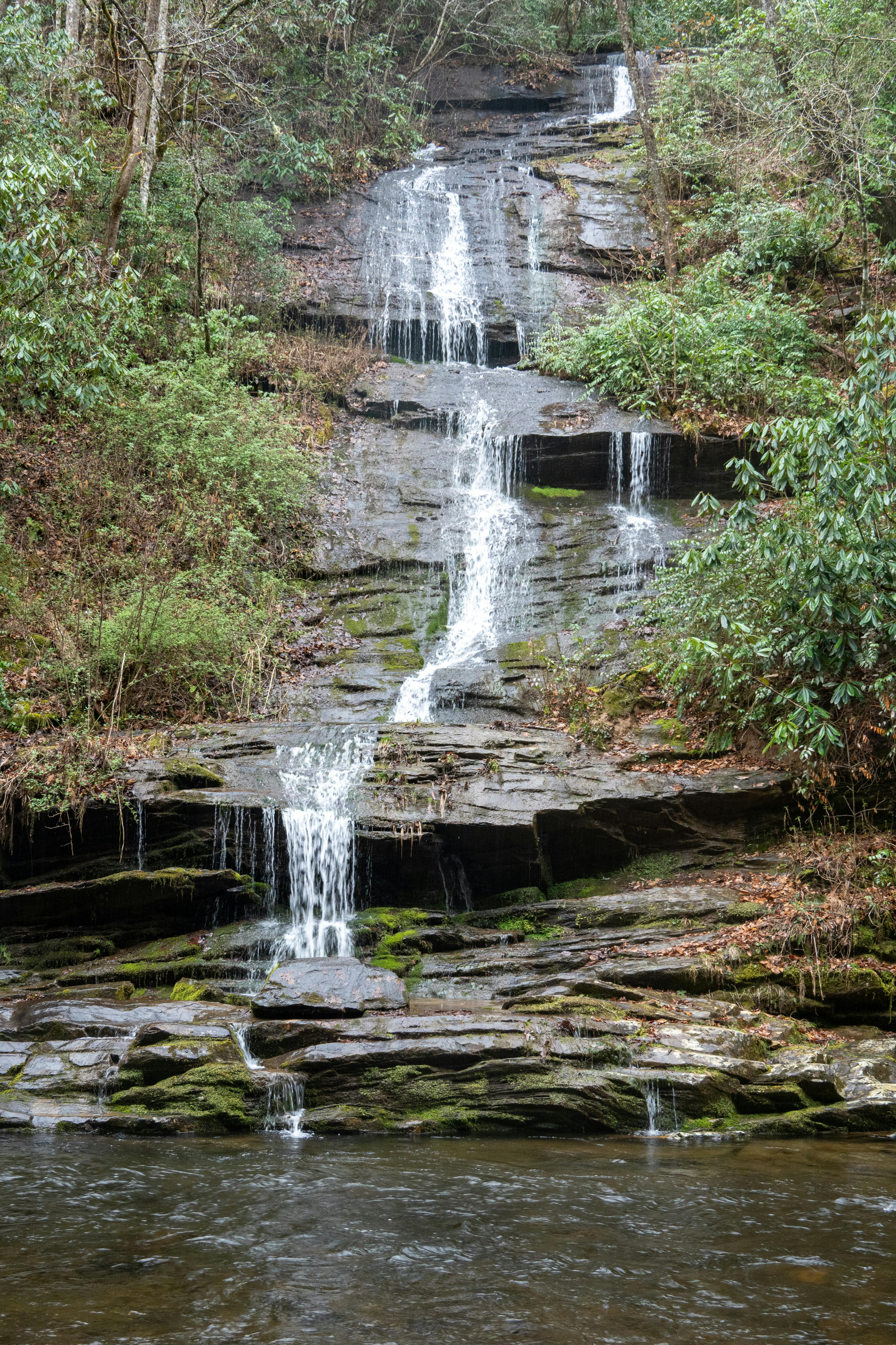Zadarmo Fotobanka s bezplatnými fotkami na tému @outdoor, americkej divočiny, čerstvý Fotka z fotobanky