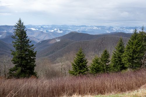 Free Breathtaking view of the Blue Ridge Mountains with lush forests under a cloudy sky, perfect for travel inspiration. Stock Photo