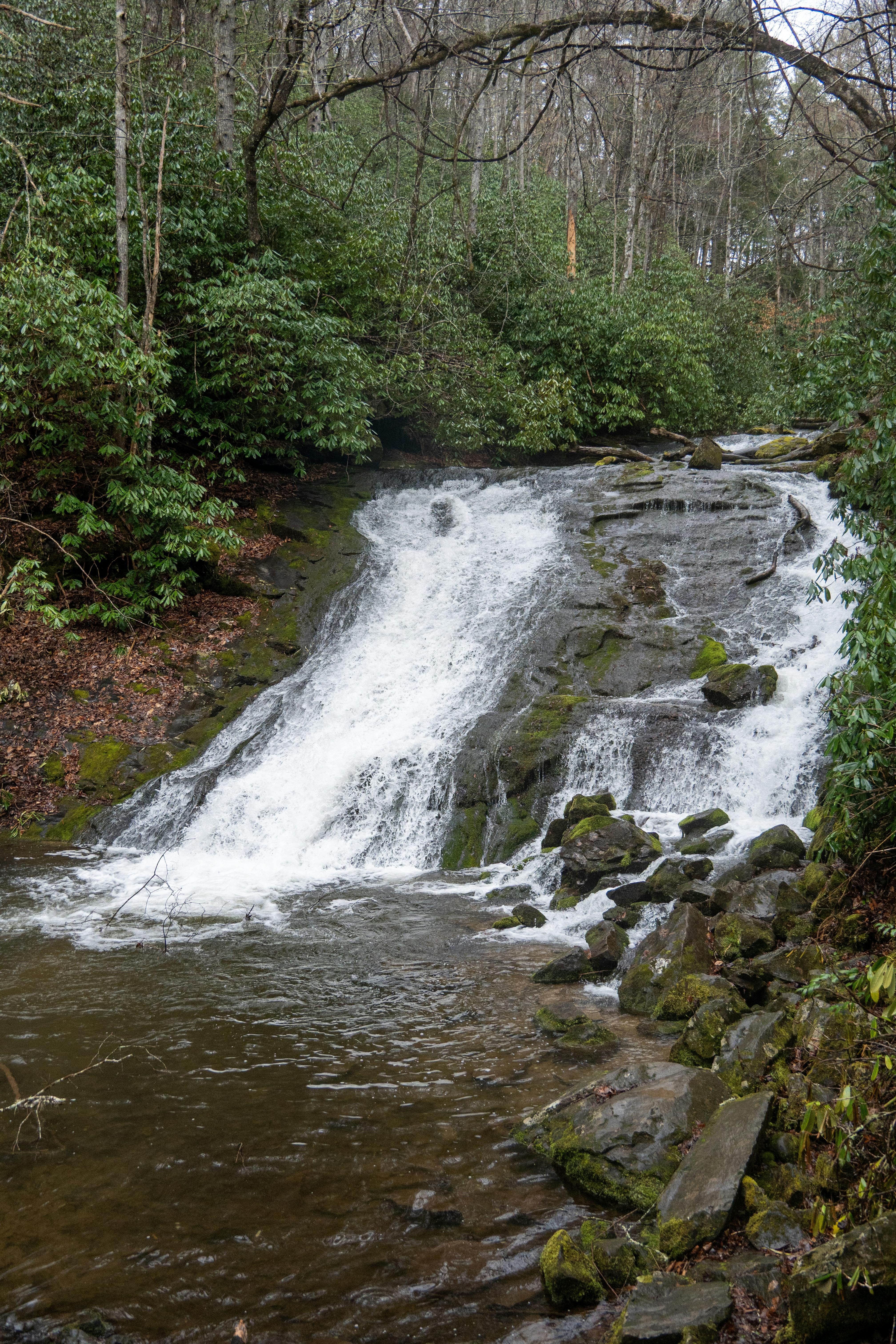 免费 北卡罗来纳州大烟山郁郁葱葱的森林中，瀑布倾泻而下，景色宁静优美。 素材图片