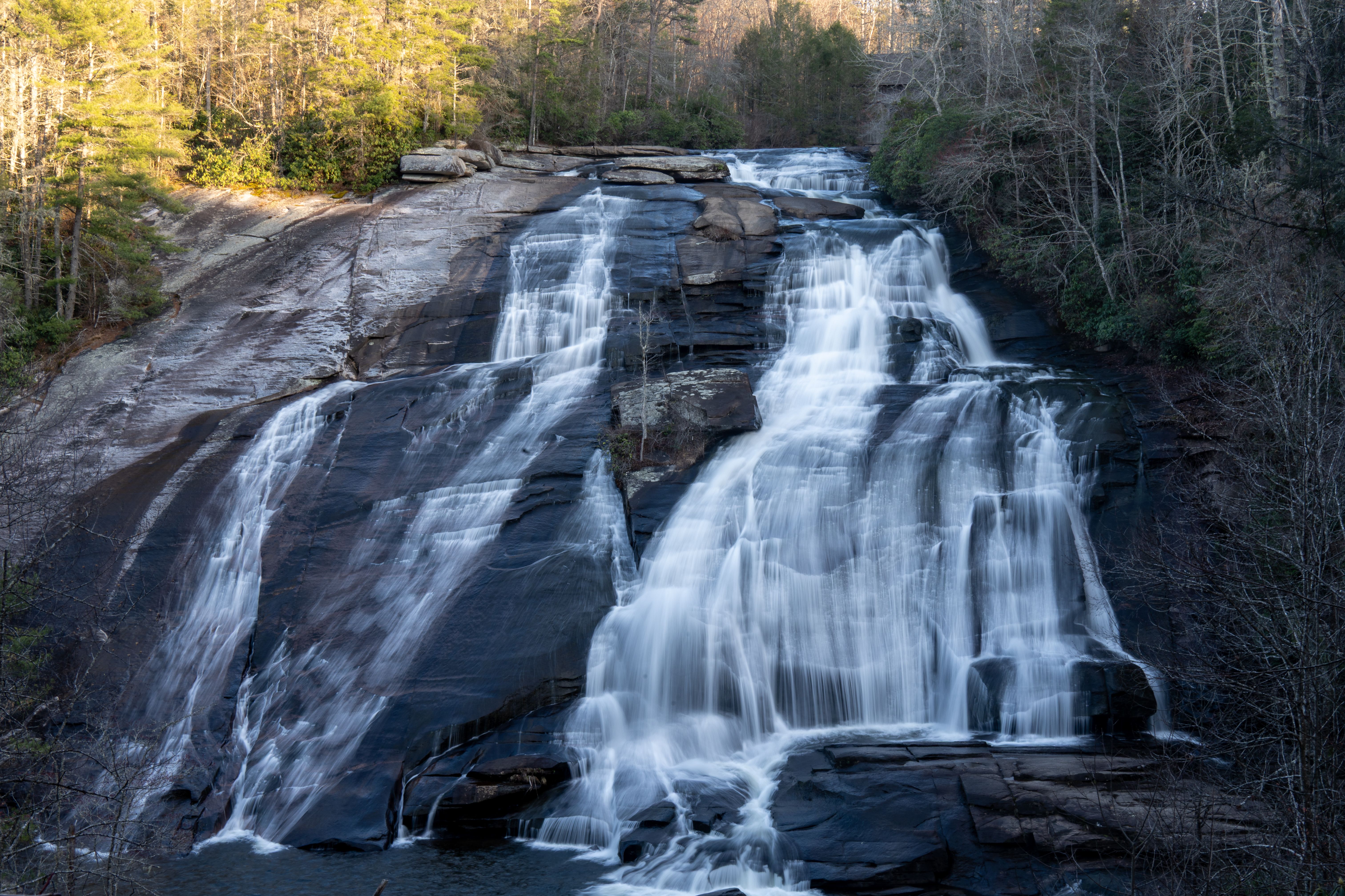 North Carolina Becomes First State to Pass Outright Ban on Litigation Financing — Photo by Beth Fitzpatrick on Pexels