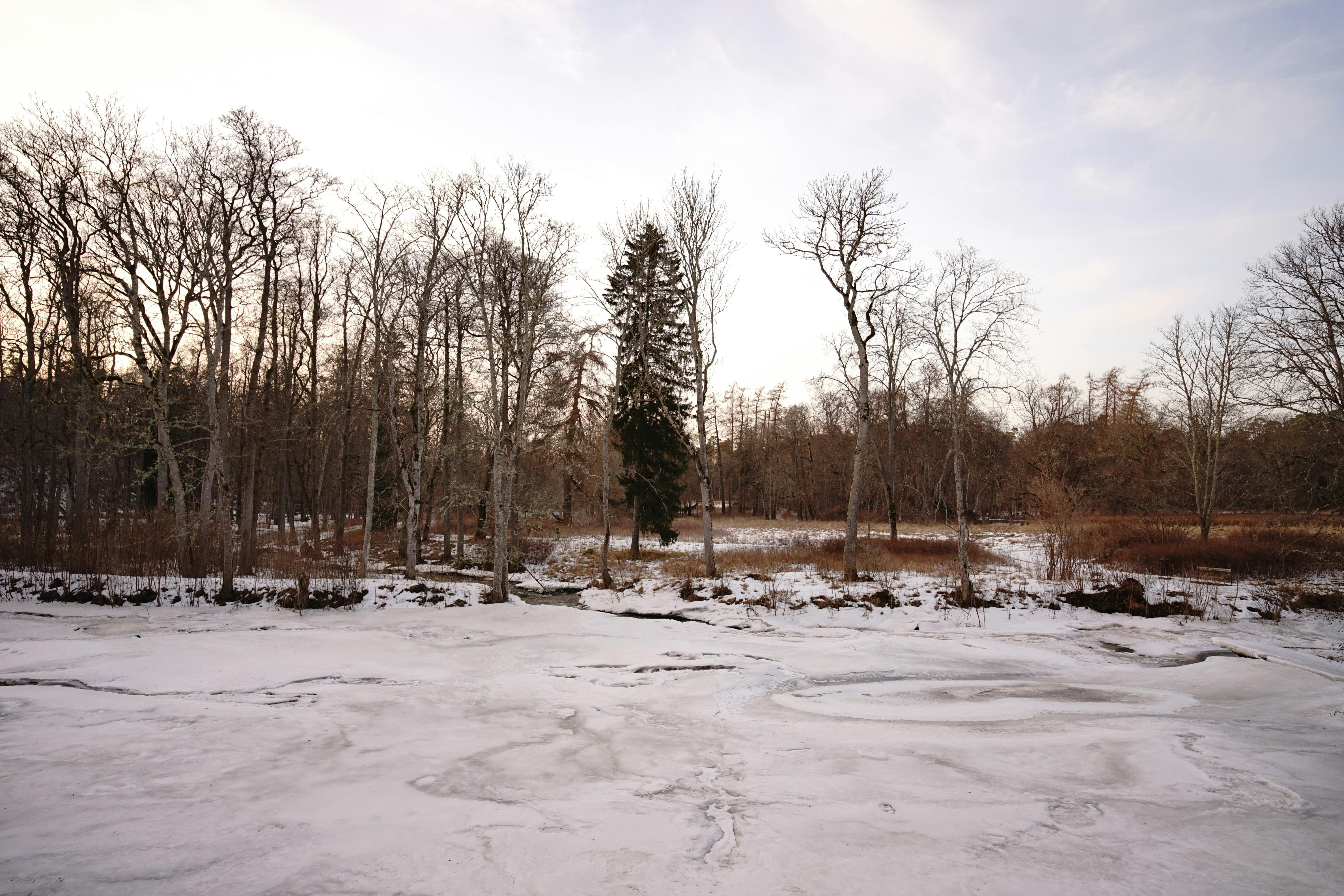 免费 一月, 三月, 二月 的 免费素材图片 素材图片