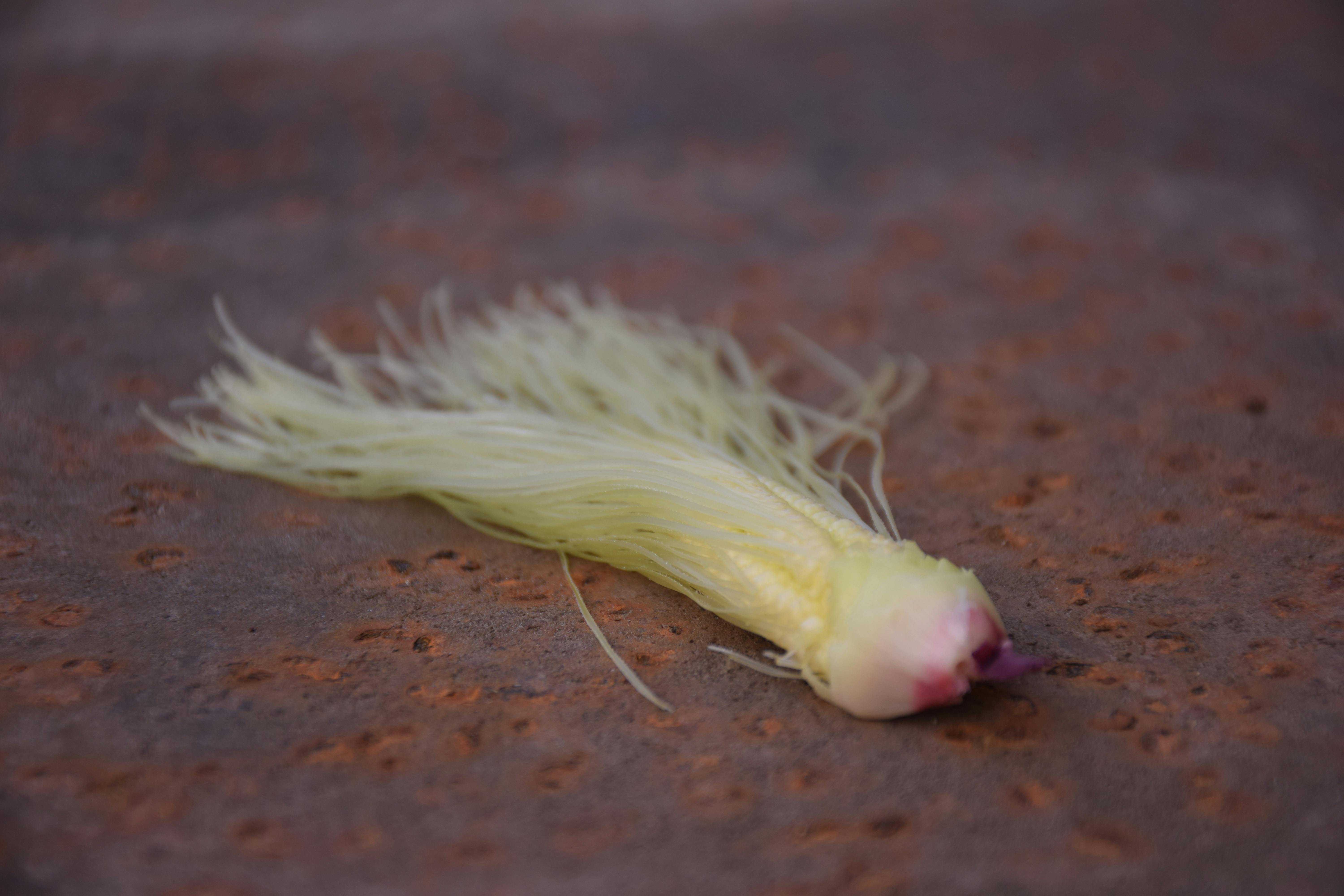 Parent and child sitting on the floor playing together with a doll