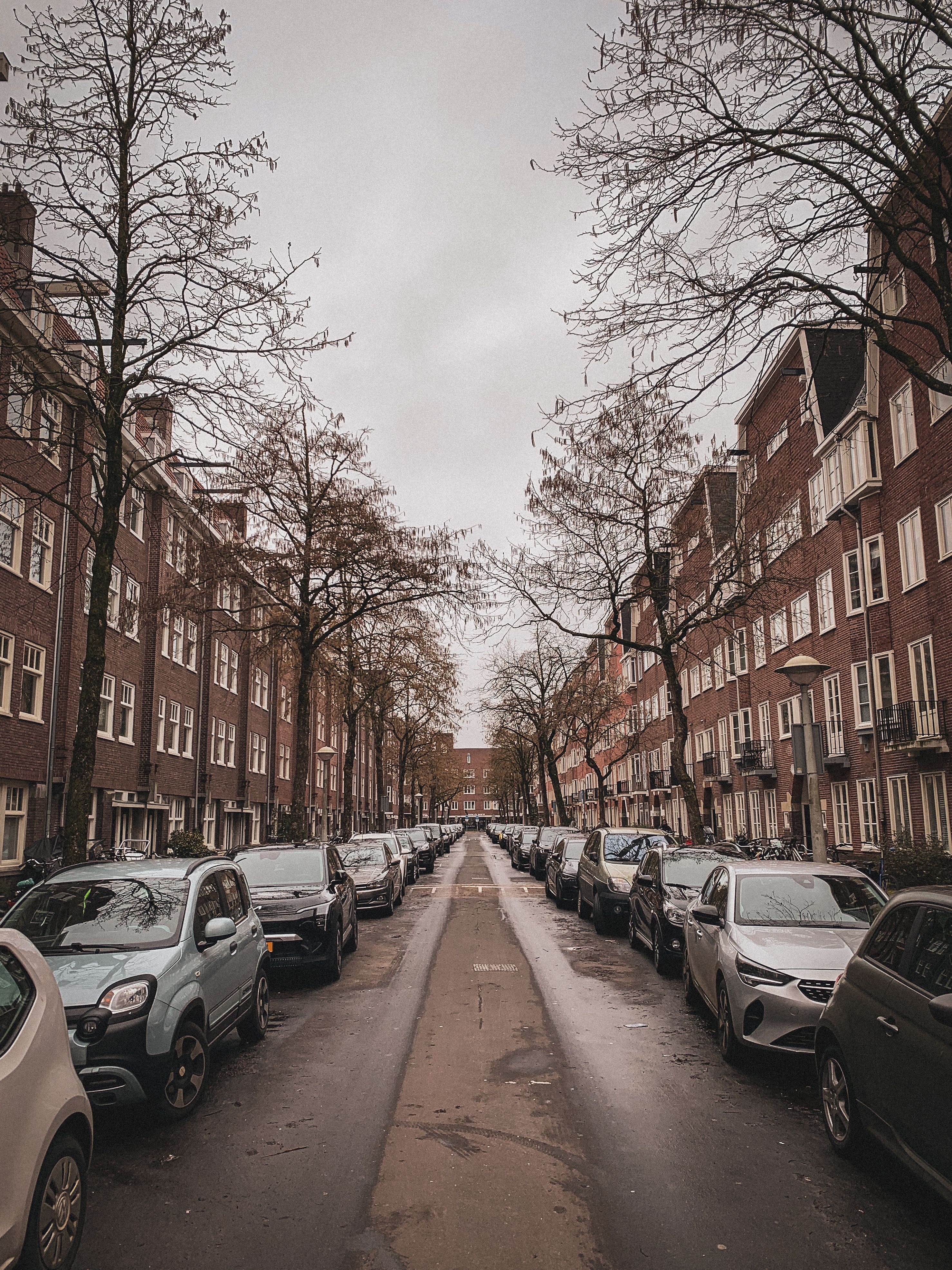 Bestuurder in auto tijdens dagelijks gebruik