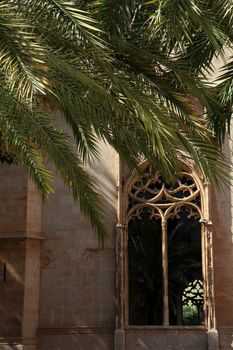 A serene view of a Gothic-style window framed by lush palm leaves in Palma, Spain.