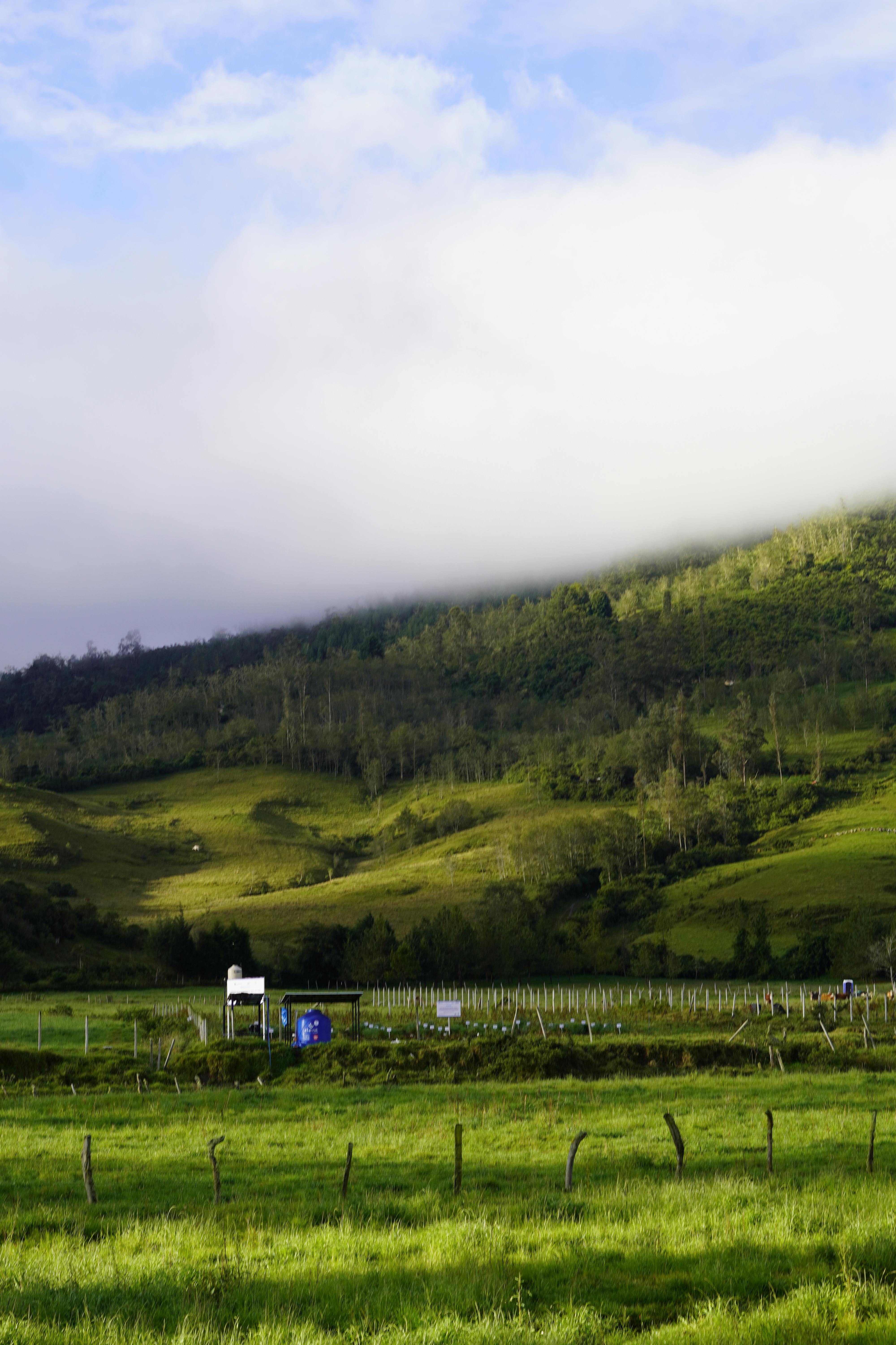 Zadarmo Preskúmajte svieže zelené kopce Peru zahalené v hmlistých oblakoch, ktoré vytvárajú pokojnú a malebnú scenériu. Fotka z fotobanky