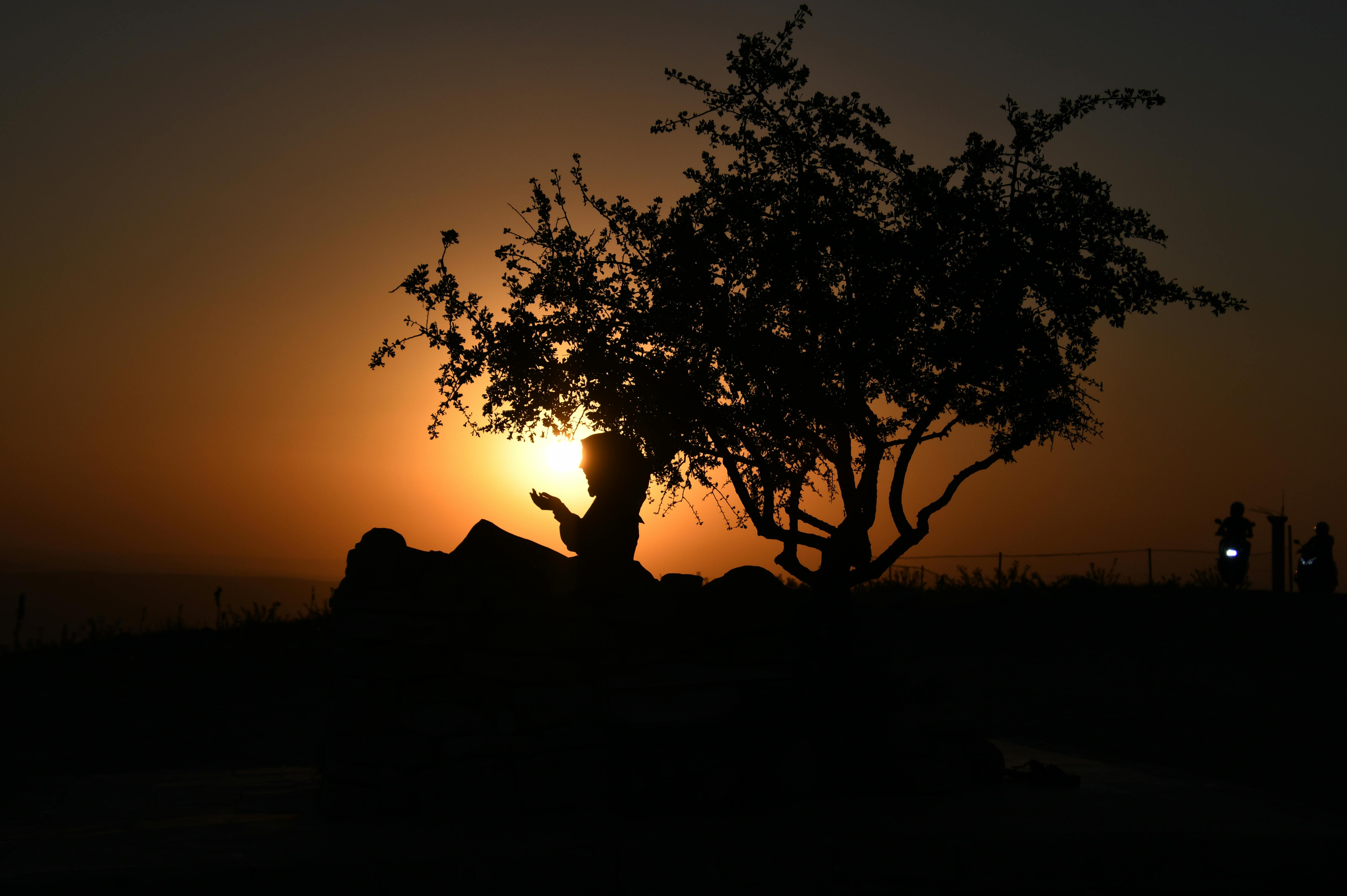 Безкоштовне стокове фото на тему «siirt, Азія, Атмосферний» стокове фото