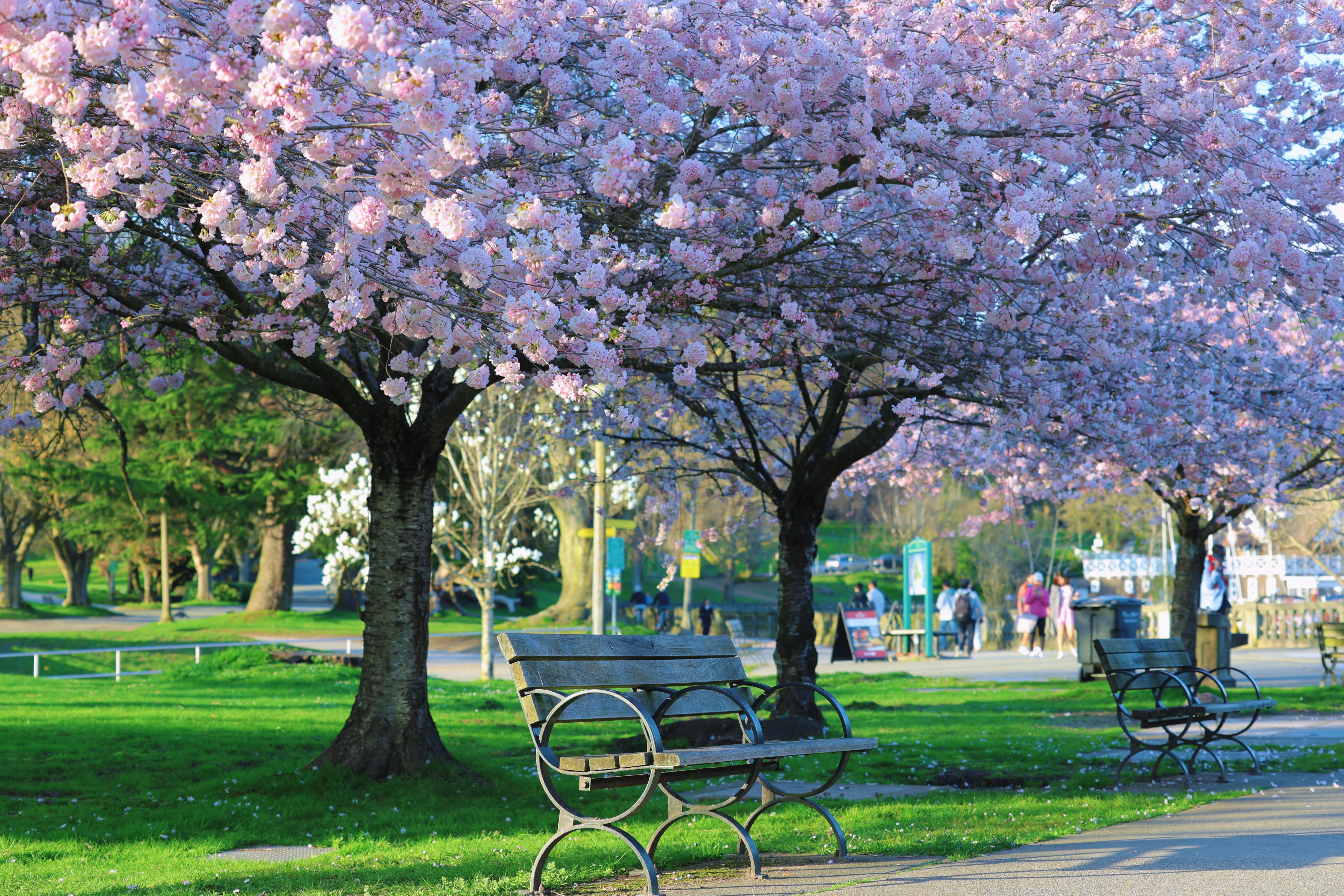 Local expert offers tips to ‘spring clean’ your beauty, skincare routine — Photo by Chris Liu on Pexels