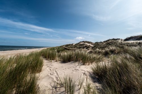 Free Peaceful sandy dunes with grass under a clear blue sky at the beach. Stock Photo
