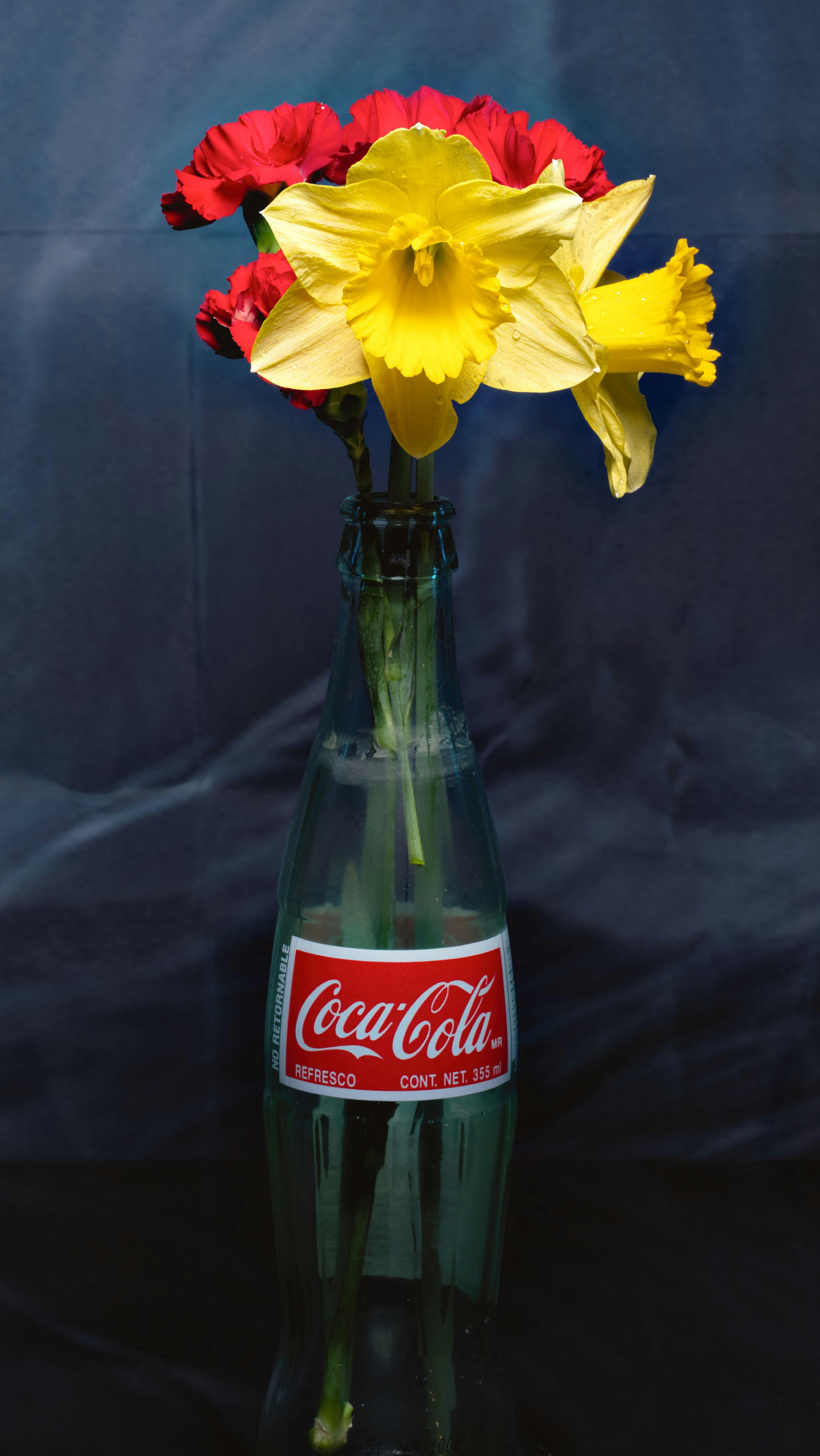 ingyenes Élénk nárciszok és szegfűk egy vintage üdítősüveg vázában, sötét háttér előtt. Stockfotó