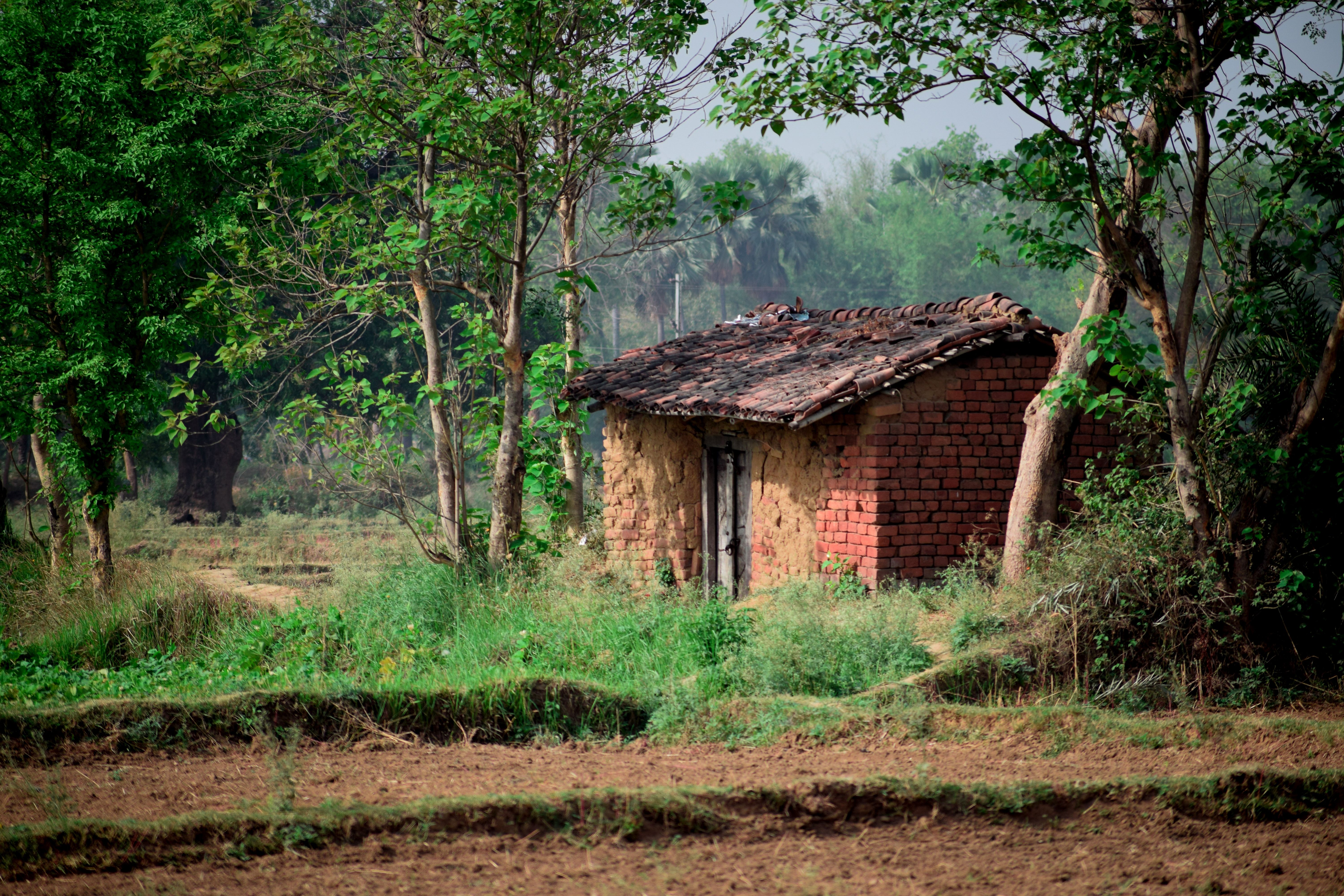 Rustic Clay House in Lush Green Countryside · Free Stock Photo
