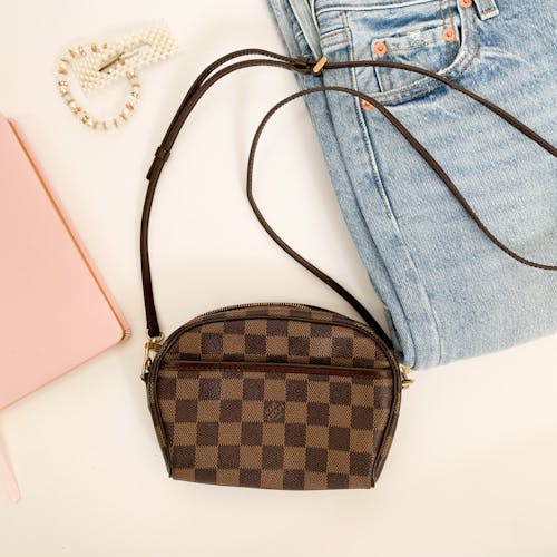 Brown Louis Vuitton Monogram Leather Handbag · Free Stock Photo