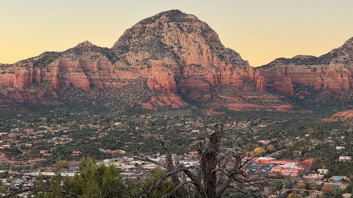 Mesa, AZ Free Samples Near Me: Where to Find Legit Deals