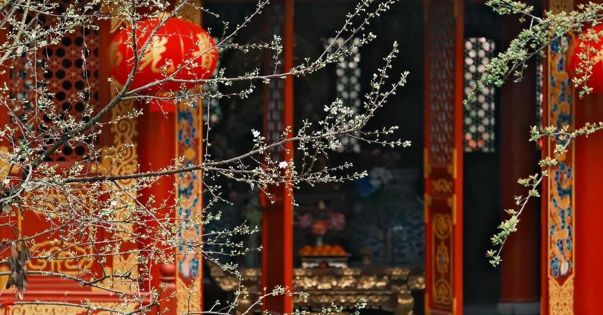 Sites Chinois : Top 20 Boutiques Fiables 2026