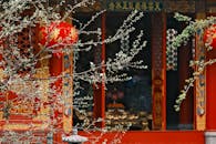 Spring Blossoms at Traditional Chinese Temple