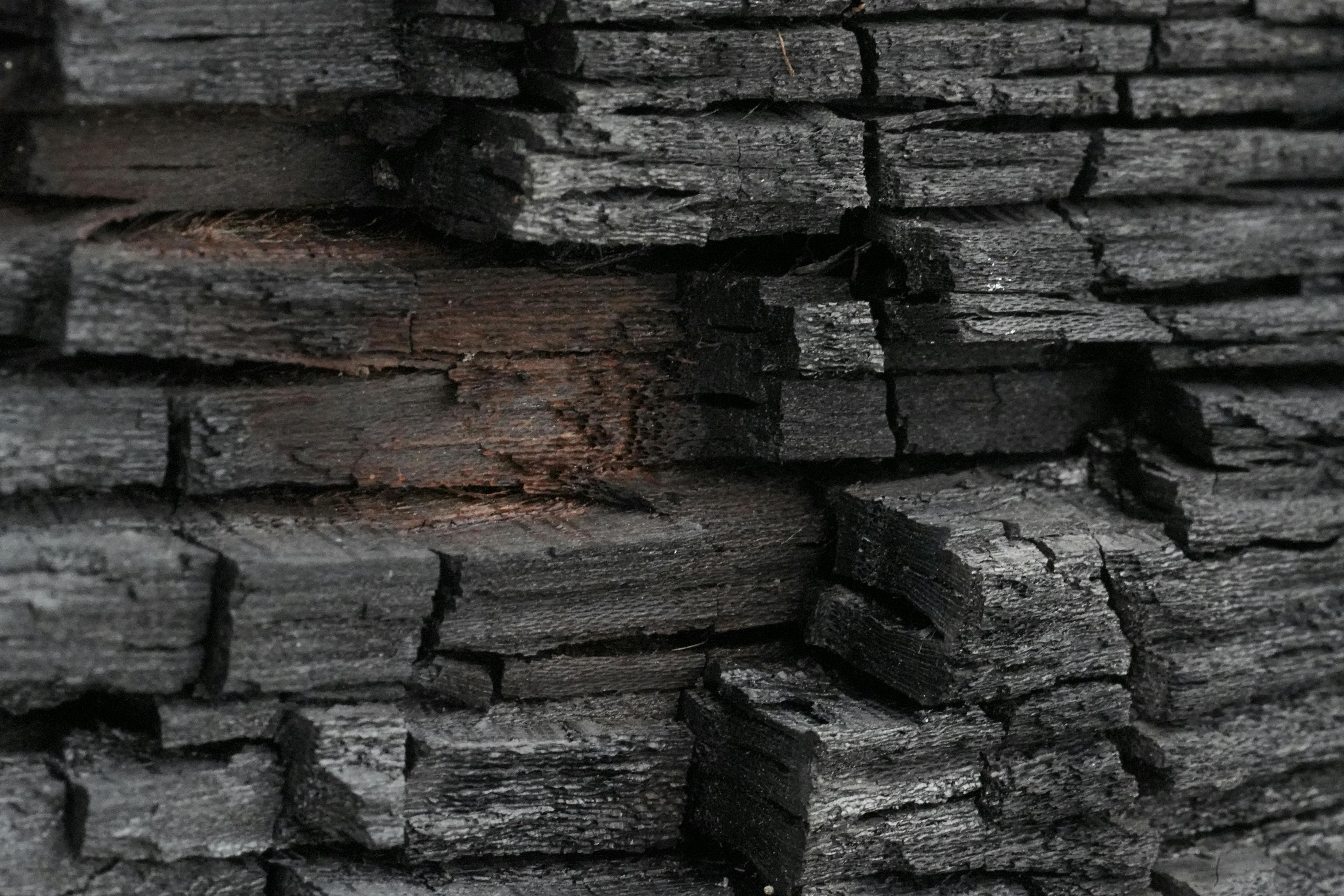 ingyenes Elszenesedett fa részletes közeli képe, amely bonyolult, égett textúrákat és sötét tónusokat mutat be. Stockfotó