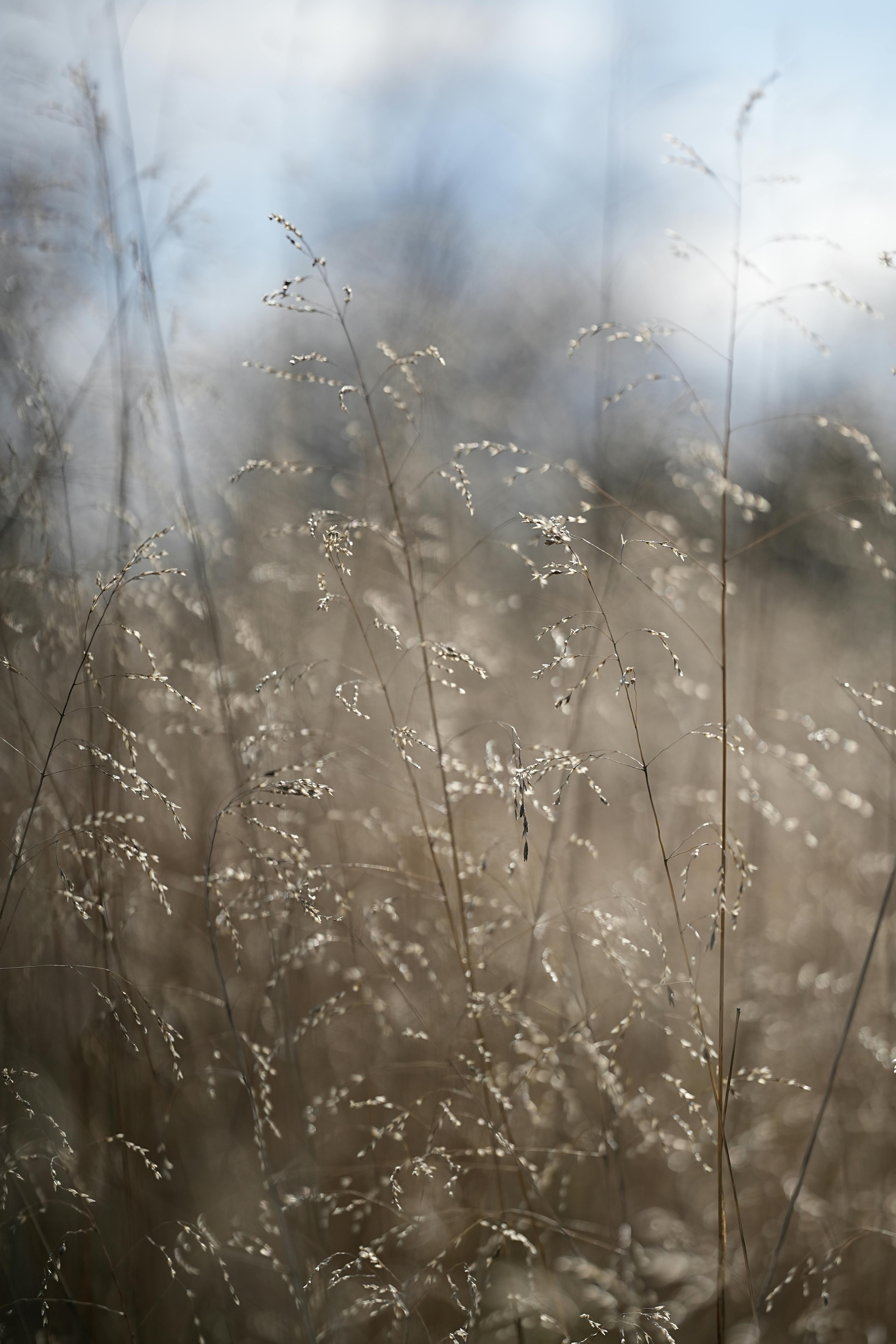 ฟรี คลังภาพถ่ายฟรี ของ กลางแจ้ง, การถ่ายภาพ, การผ่อนคลาย คลังภาพถ่าย