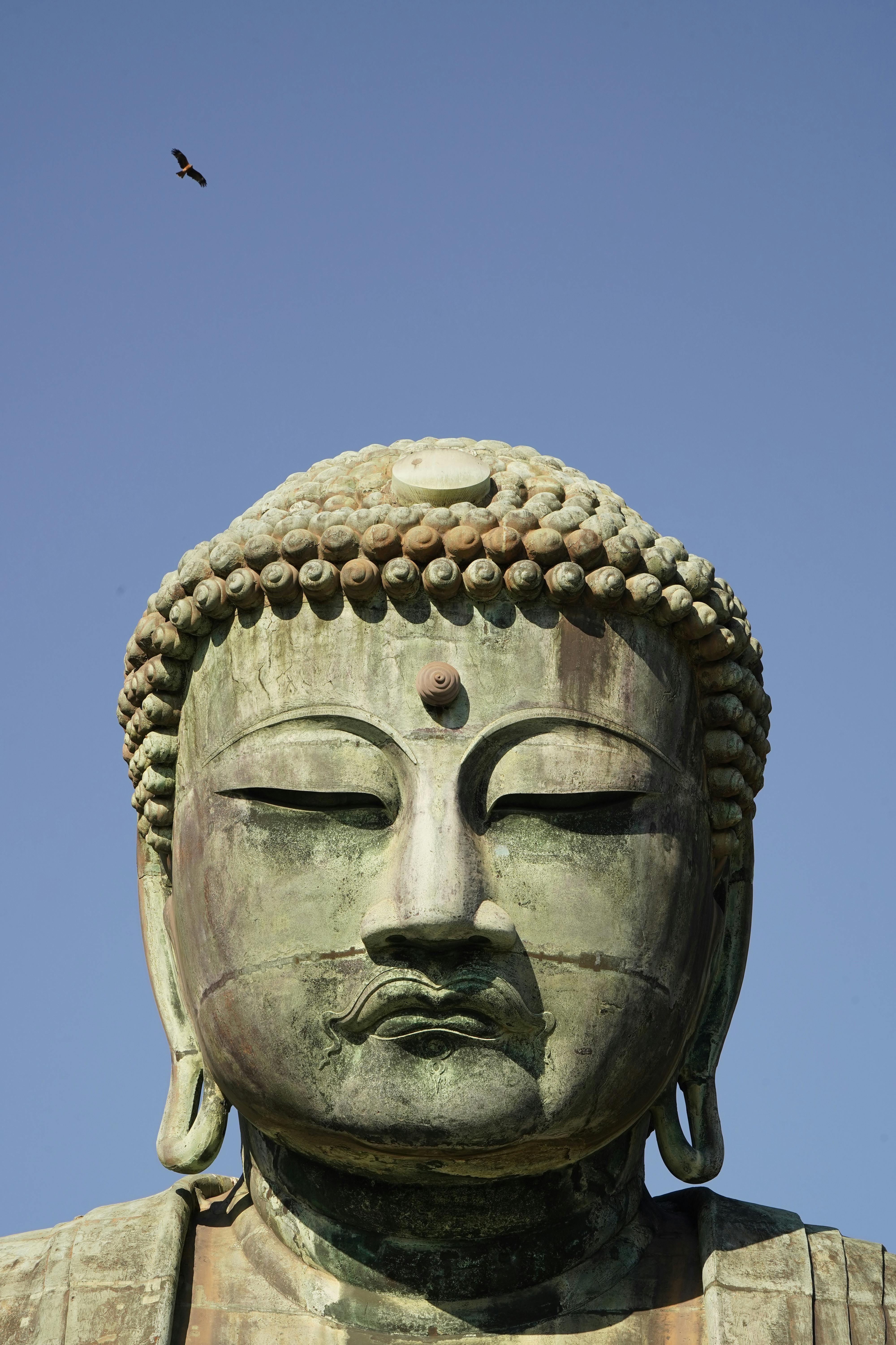 免費 日本鎌倉大佛雕像在湛藍天空的襯托下，顯得格外雄偉壯觀。 圖庫相片