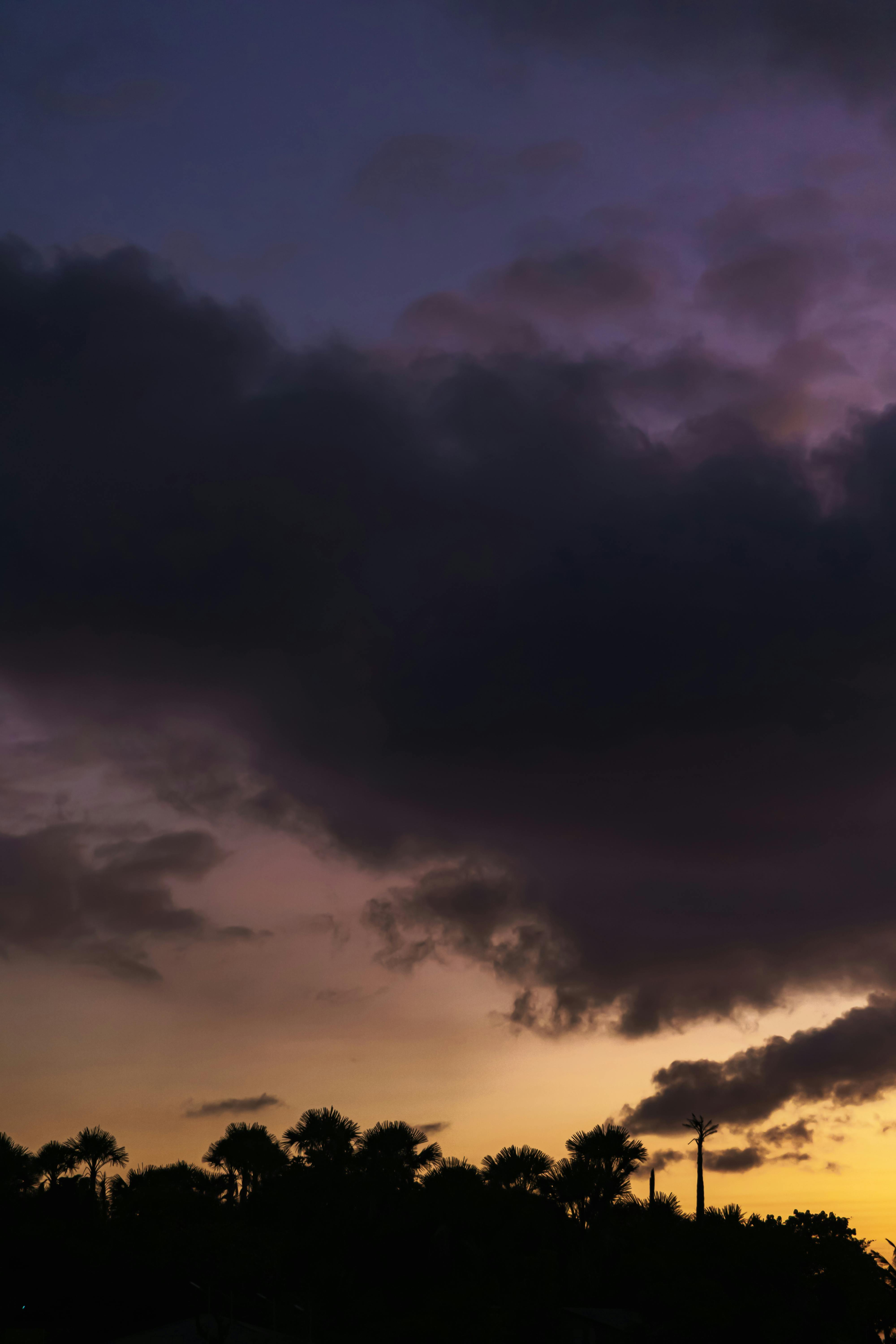 Безкоштовне Драматичний захід сонця з силуетами пальм під яскравим сутінковим небом. стокове фото
