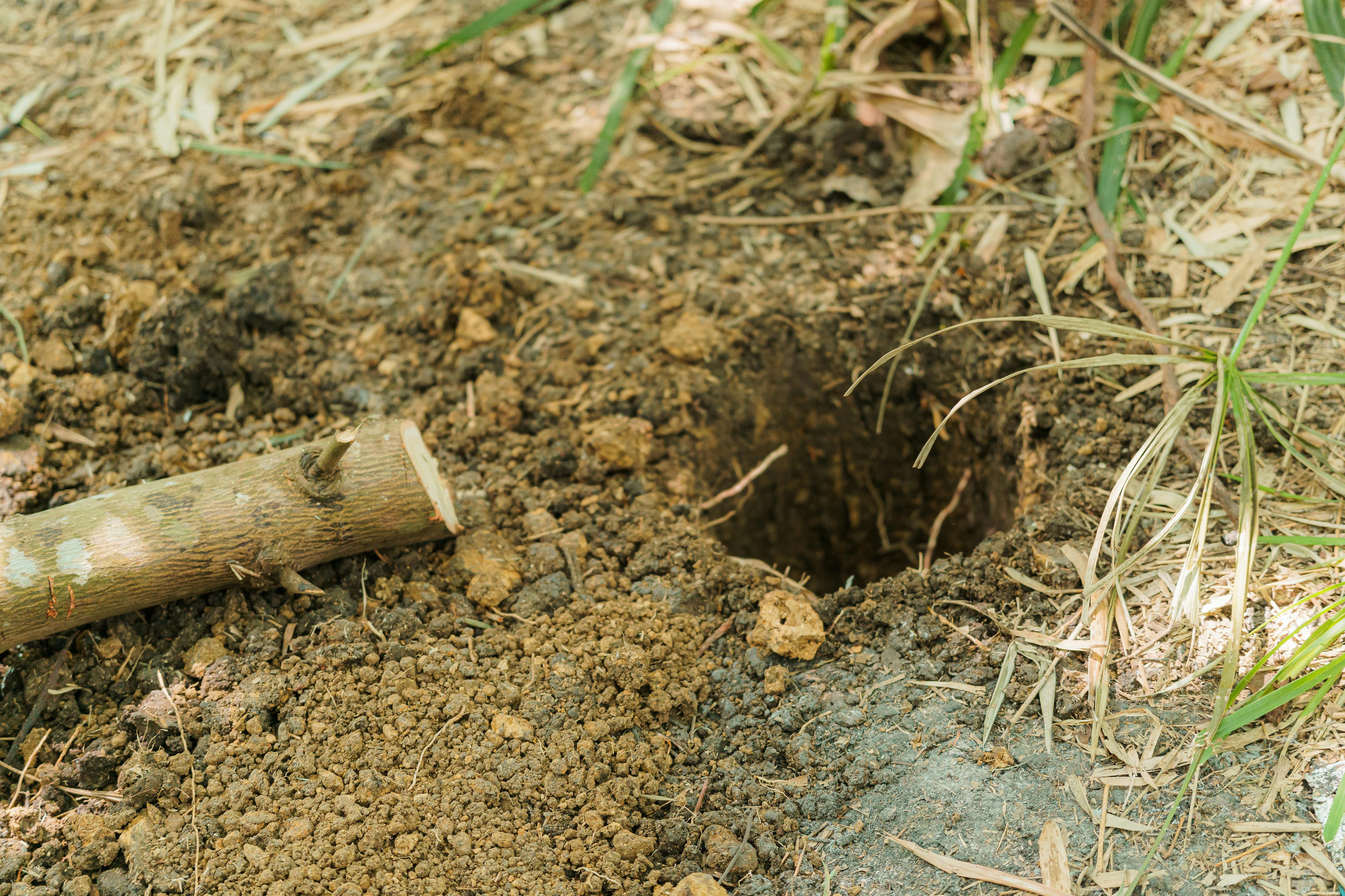 mini wildlife pond construction dug hole