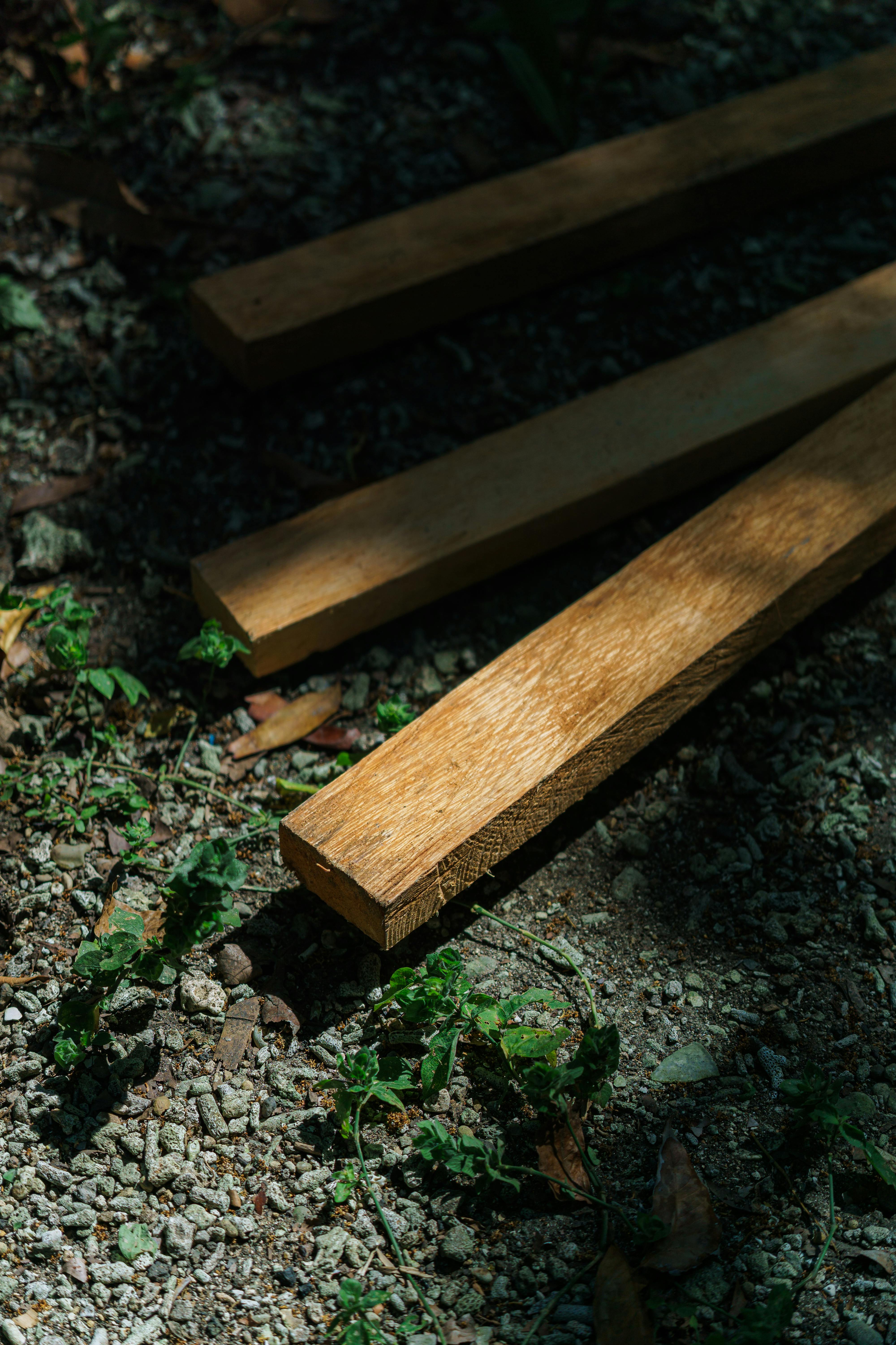 Безкоштовне Дерев'яні дошки, освітлені сонячним світлом, на землі, вкритій галькою та рослинами. стокове фото