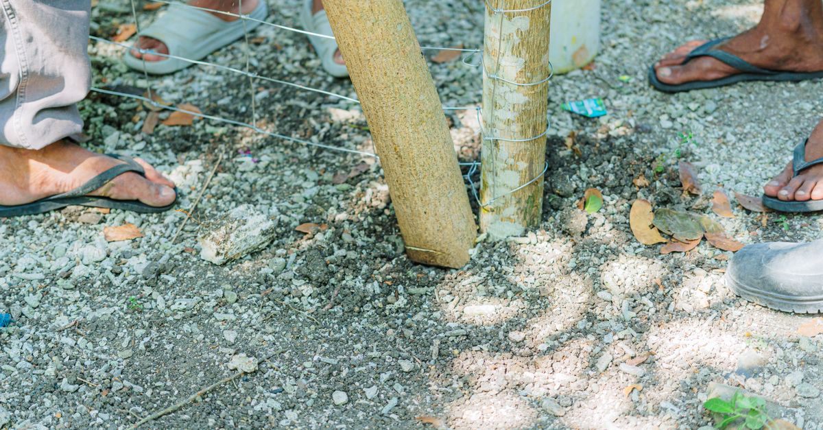 Come Creare una Recinzione in Legno Fai Da Te