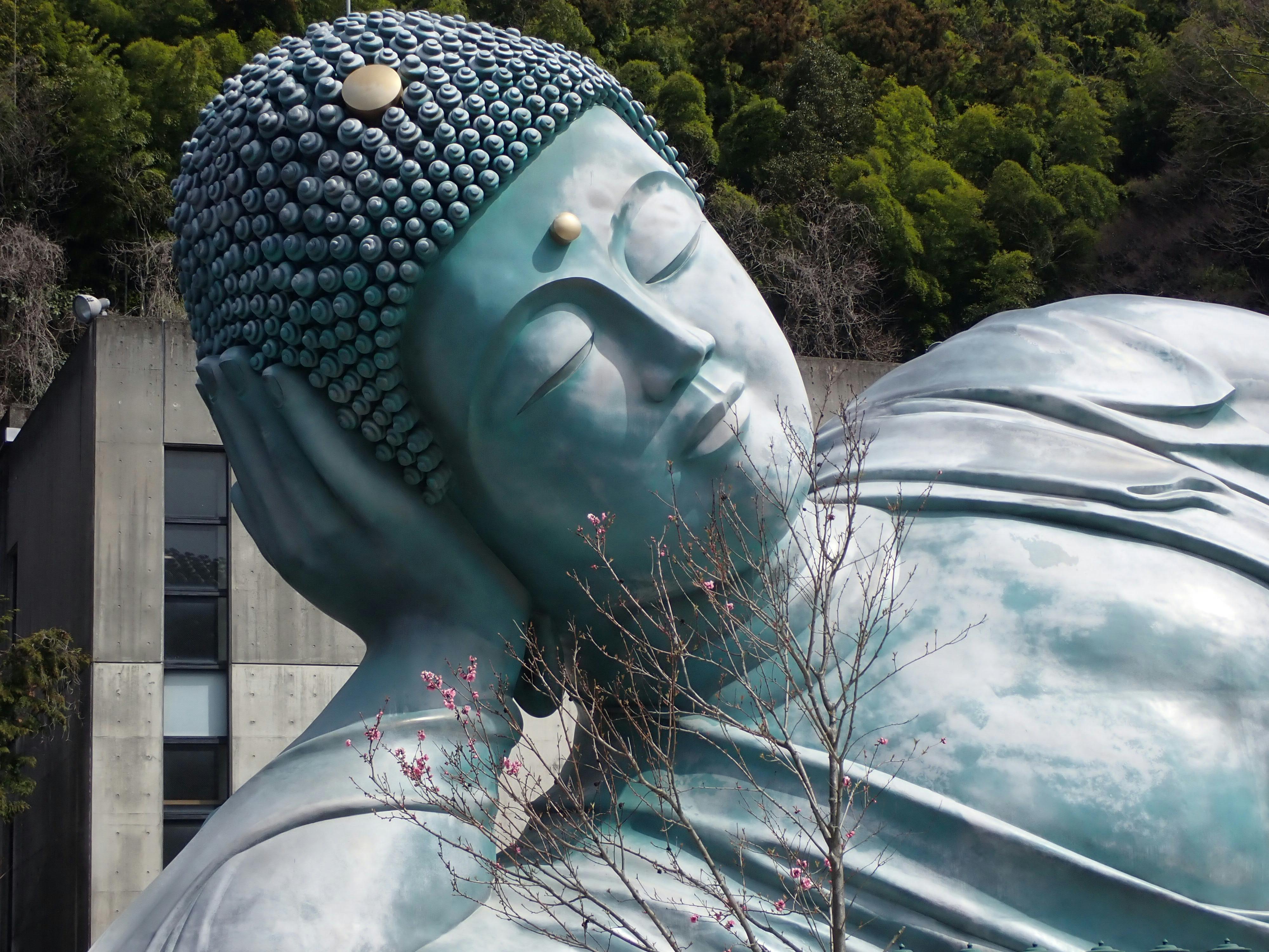 免费 雄伟的卧佛像被天然绿植和盛开的春花环绕。 素材图片