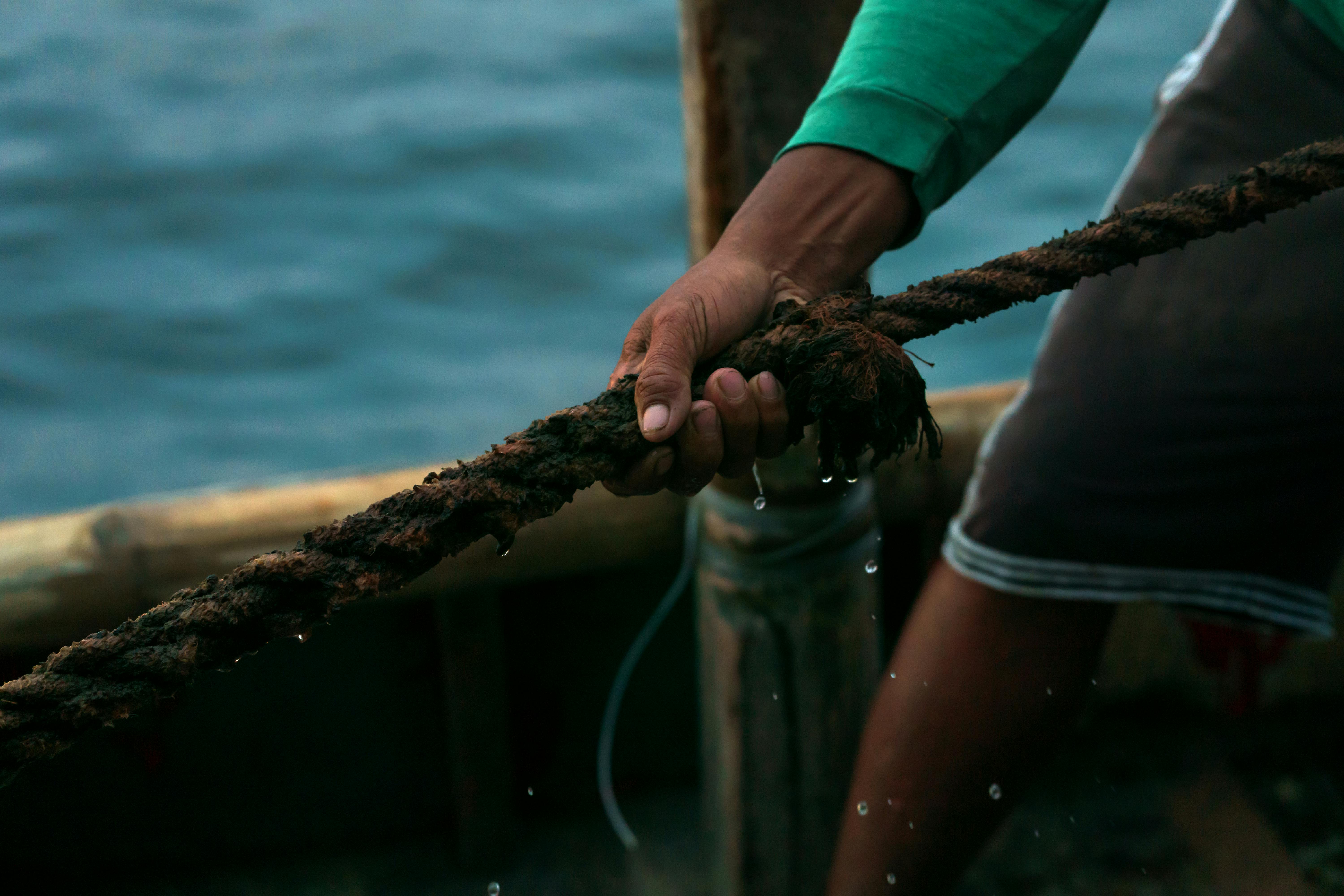 免費 任務, 傳統, 冷靜 的 免費圖庫相片 圖庫相片