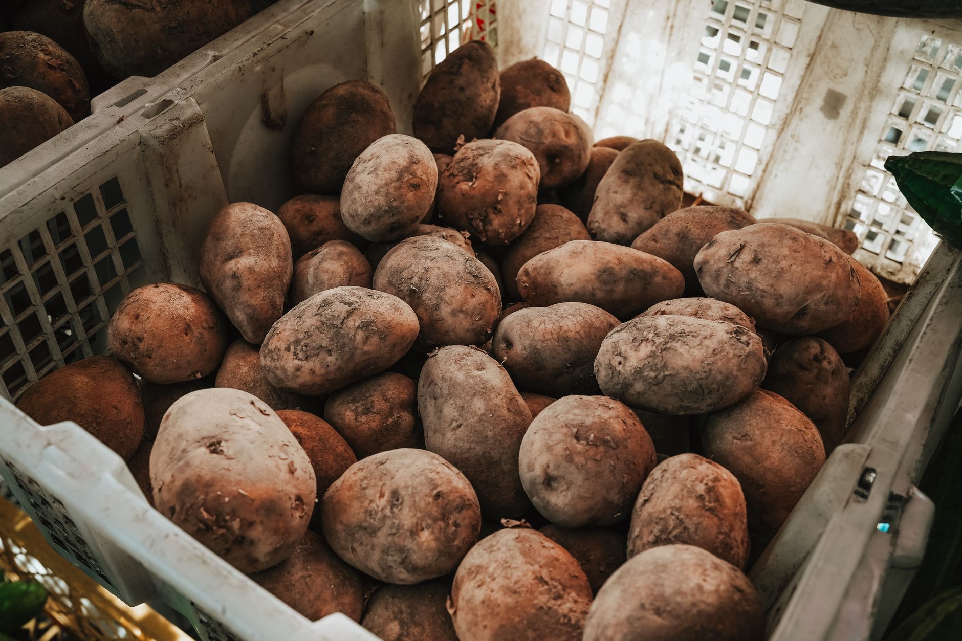 Healthy fresh potatoes arranged on a wooden surface ready for cooking