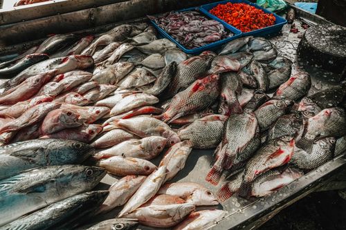 Free Abundant fresh seafood assortment displayed at a market in Surabaya, Indonesia. Stock Photo