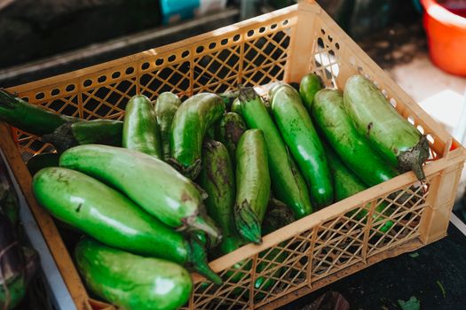 Asian Eggplant — Qie Zi