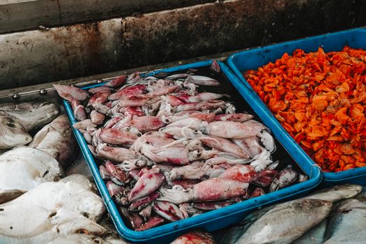 A vibrant display of fresh seafood including squid, fish, and shellfish at a market in Surabaya, Indonesia.