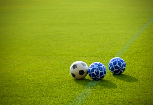 Three soccer balls positioned on a vibrant green field in the afternoon sun, perfect for sports themes.