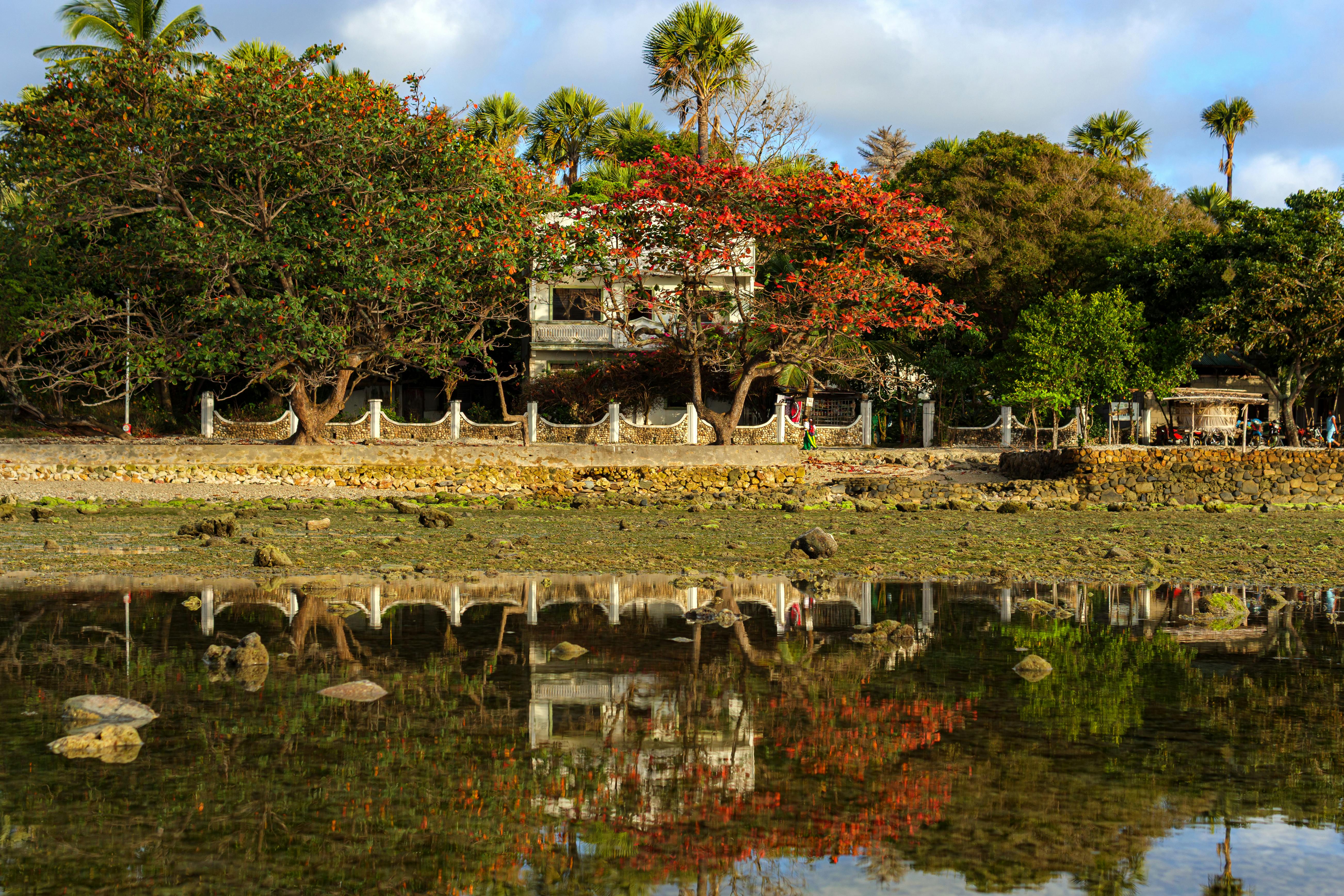Безкоштовне Мальовничий тропічний ландшафт з пишними деревами та відображенням води, що створює безтурботну атмосферу на свіжому повітрі. стокове фото