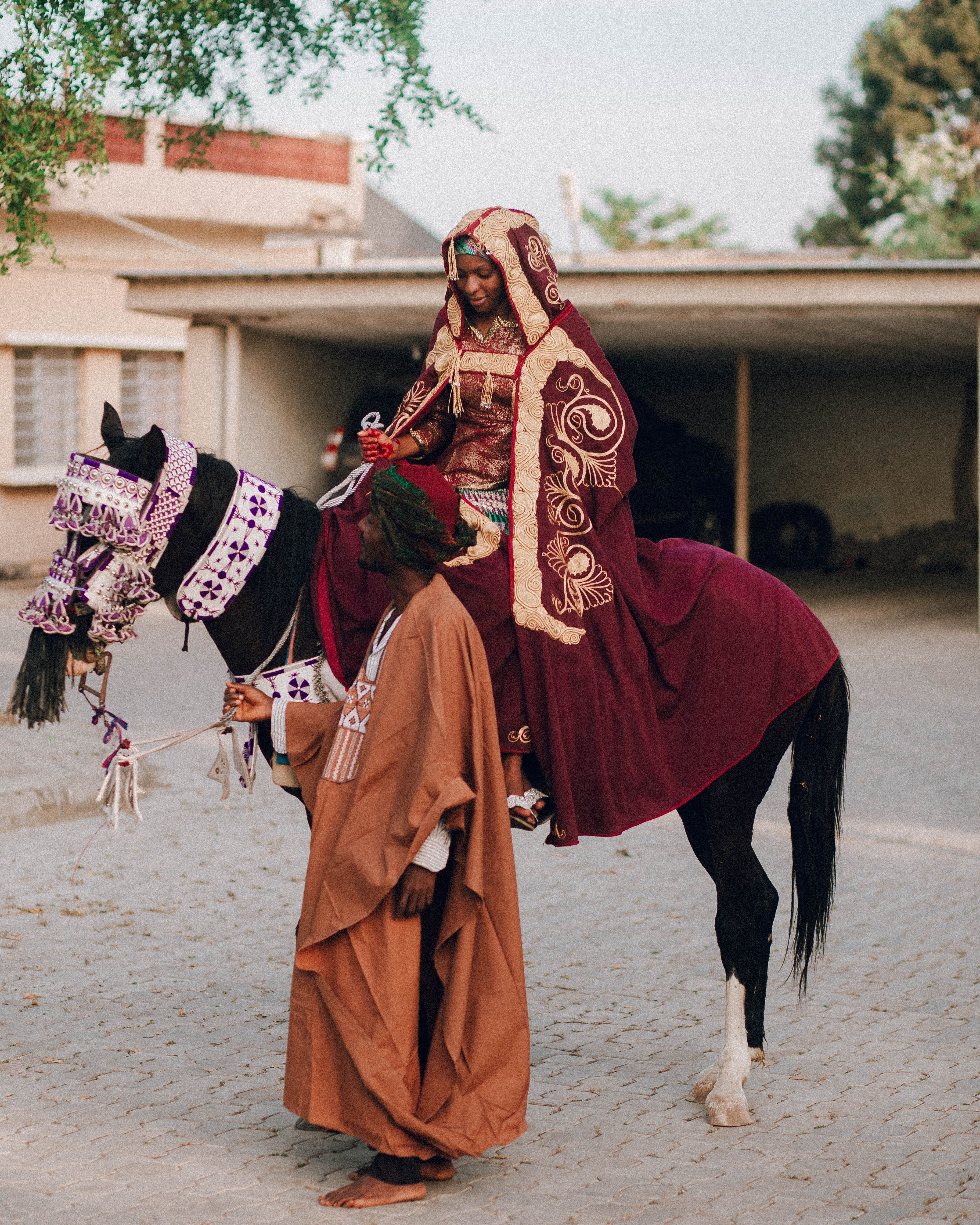 Traditional Ceremony with Decorated Horse and Riders · Free Stock Photo