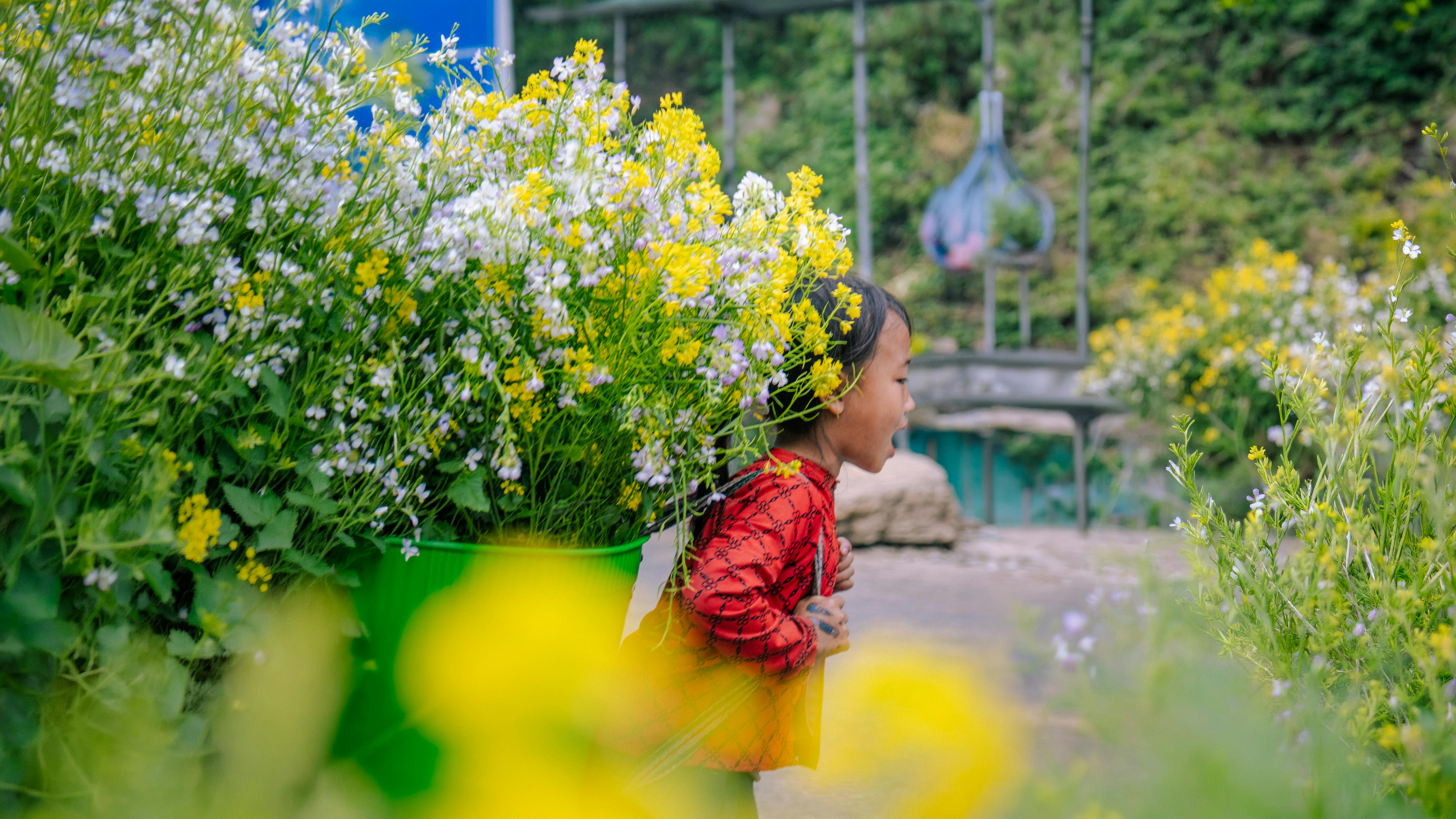A joyful child in Vietnam carries vibrant spring flowers on a sunny day.