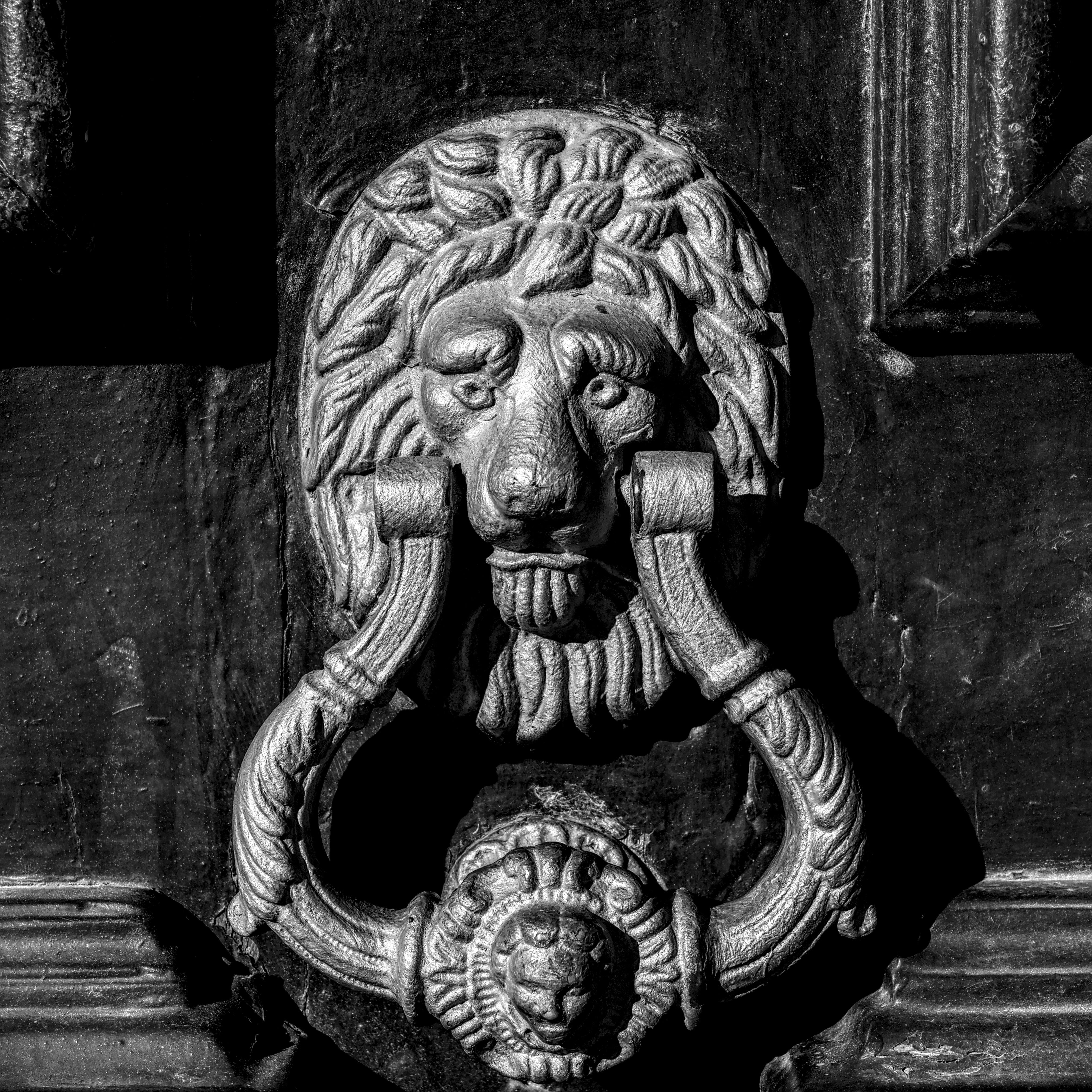 Безкоштовне Детальне чорно-біле фото дверного молотка у формі голови лева на стародавніх дерев'яних дверях. стокове фото