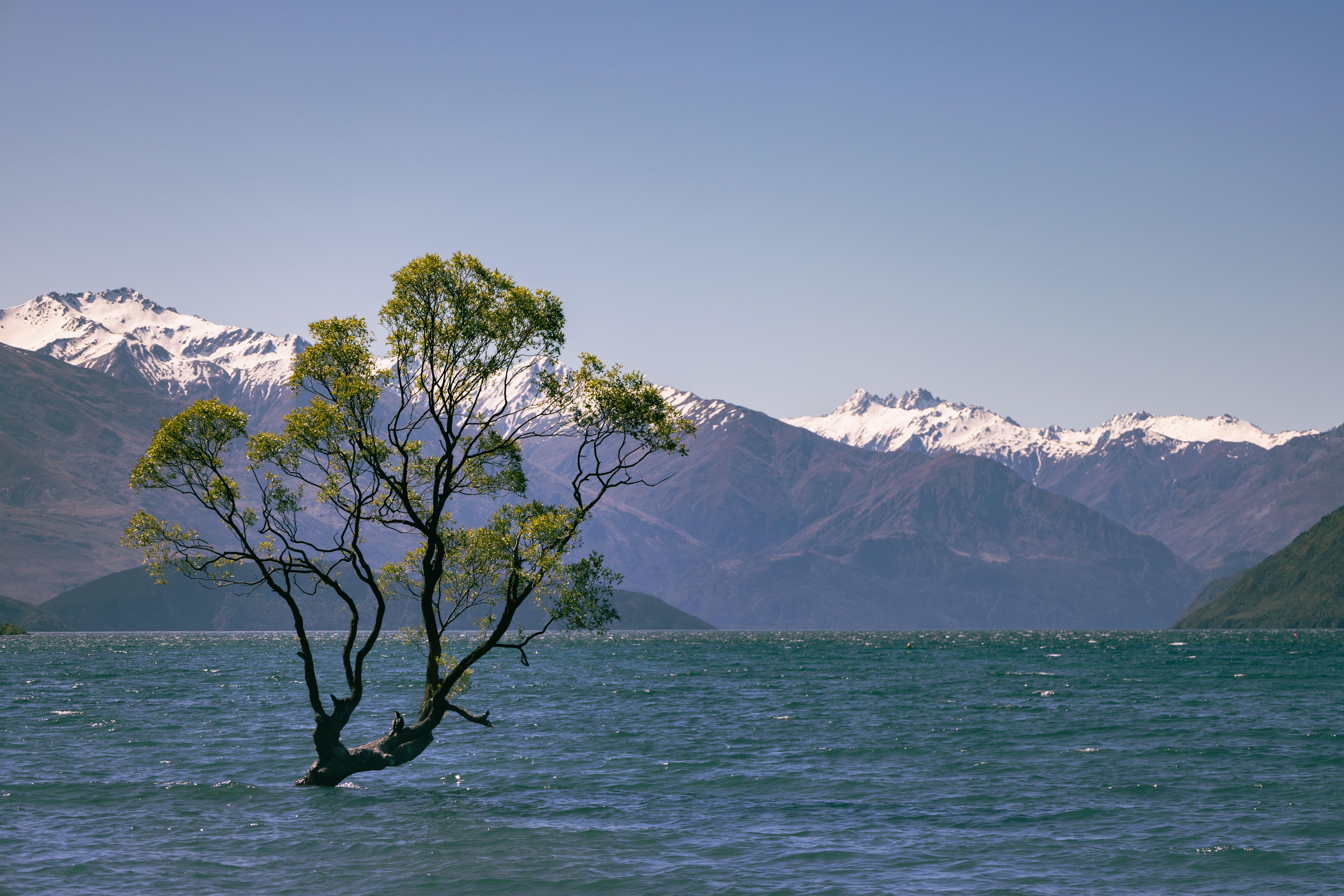 General Travel New Zealand hosts five-city roadshow in India — Photo by Eclipse Chasers on Pexels