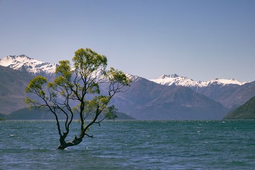 Wanaka and Roy's Peak hike — New Zealand — Queenstown