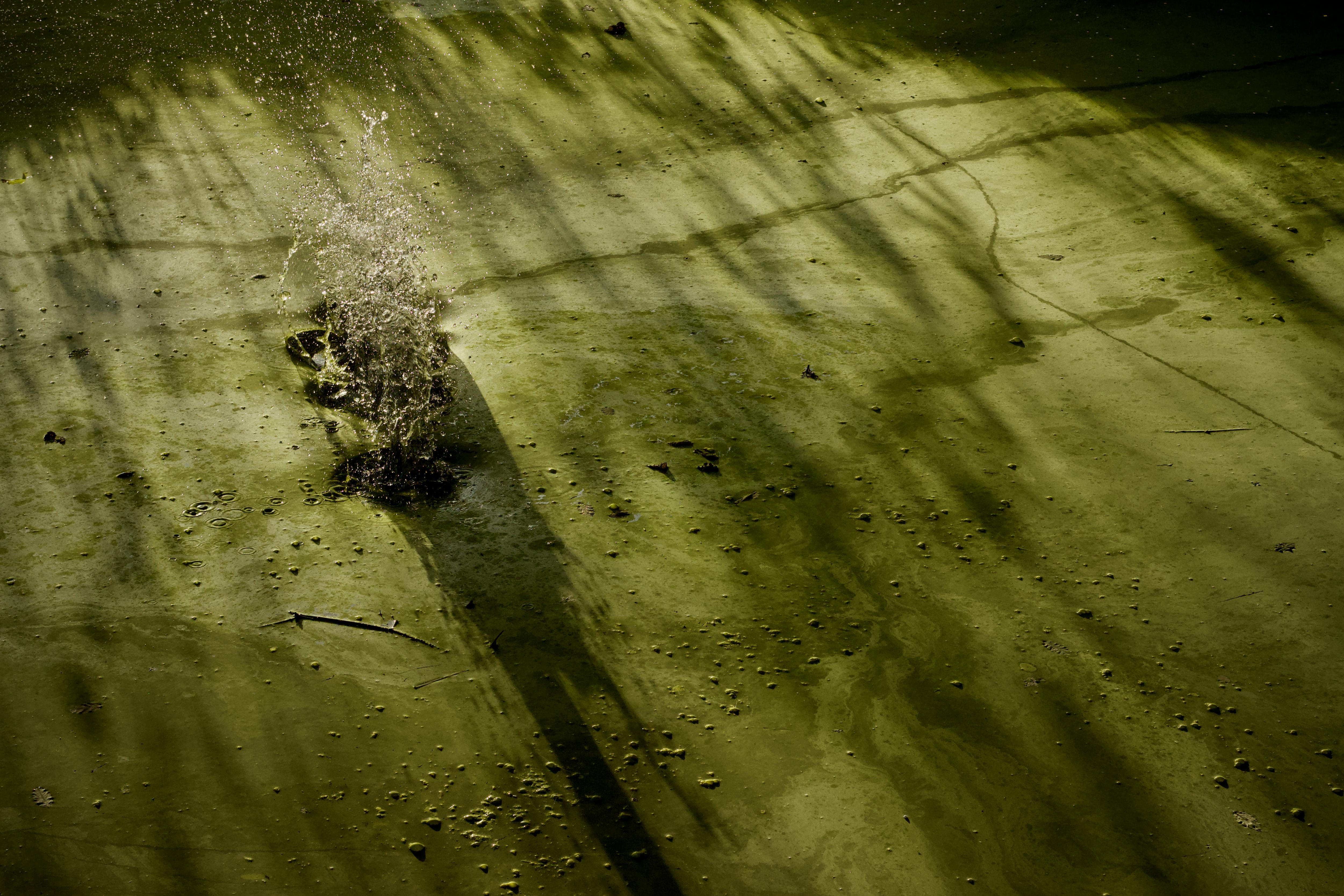 Безкоштовне стокове фото на тему «абстрактний, брижі, відображення» стокове фото