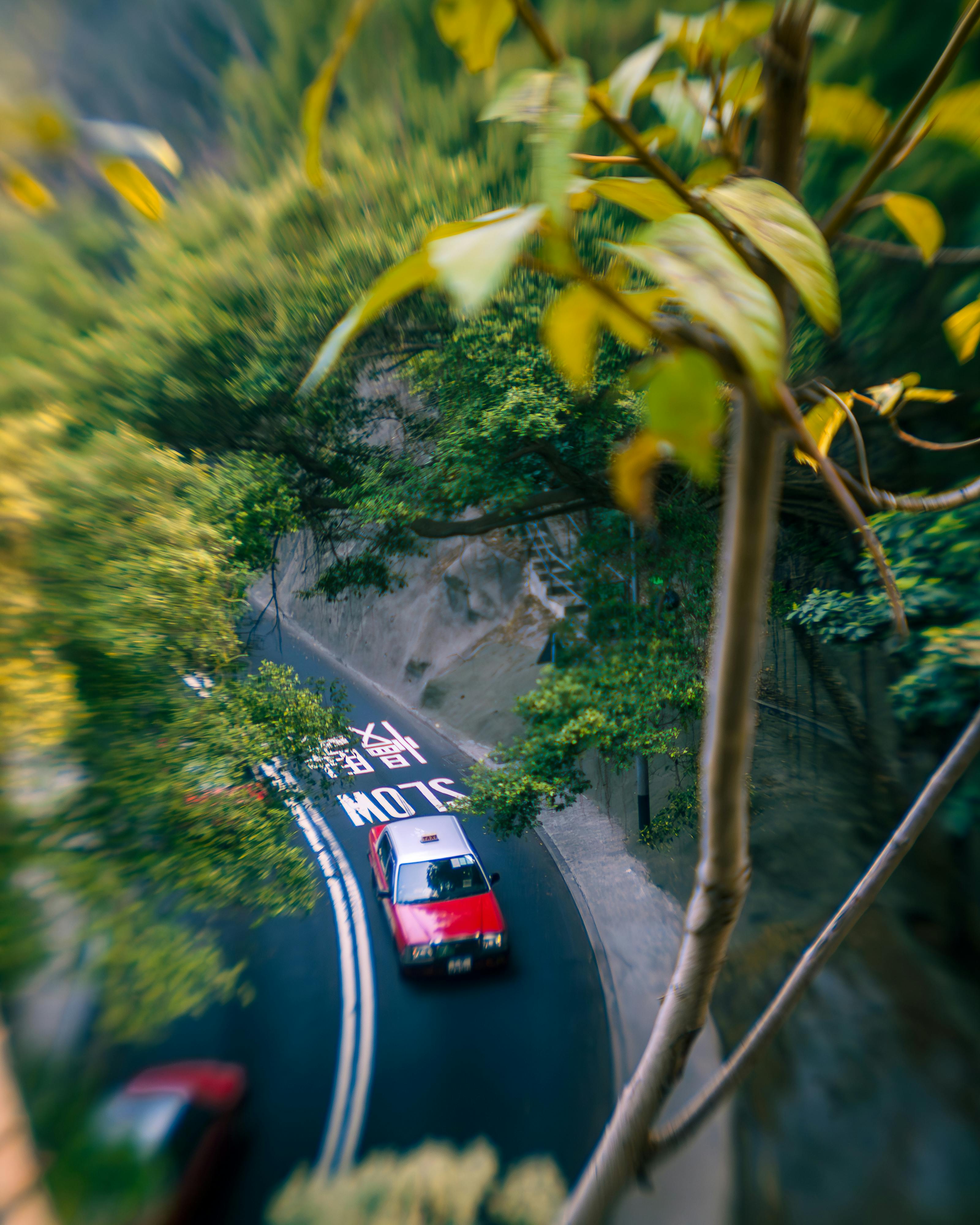 免费 从空中俯瞰，一辆红色出租车行驶在香港绿树成荫的道路上。 素材图片