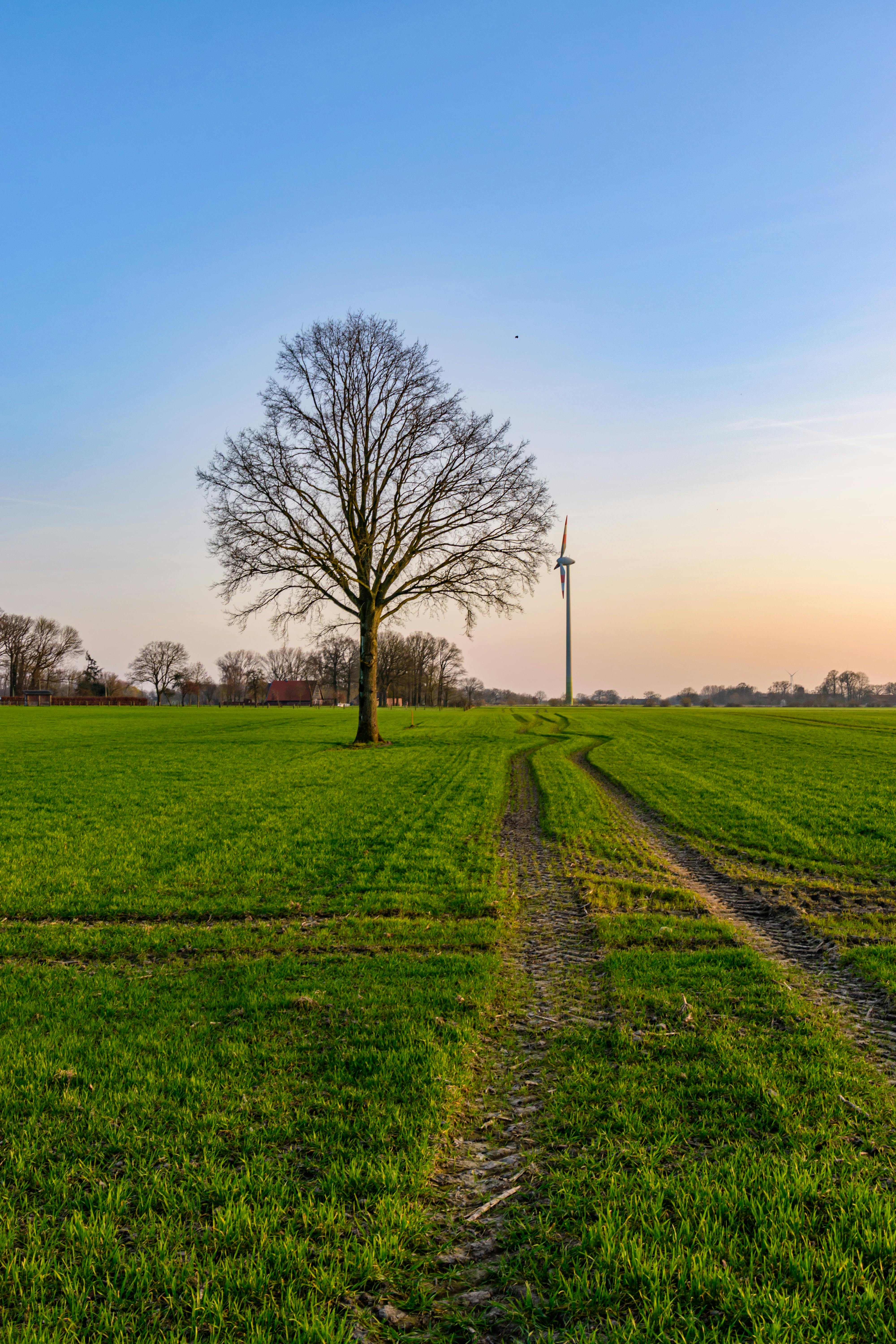 ฟรี ภาพทิวทัศน์ชนบทอันเงียบสงบในเมืองโคเอสเฟลด์ ประเทศเยอรมนี แสดงให้เห็นต้นไม้โดดเดี่ยวและกังหันลมในยามพระอาทิตย์ตกดิน คลังภาพถ่าย