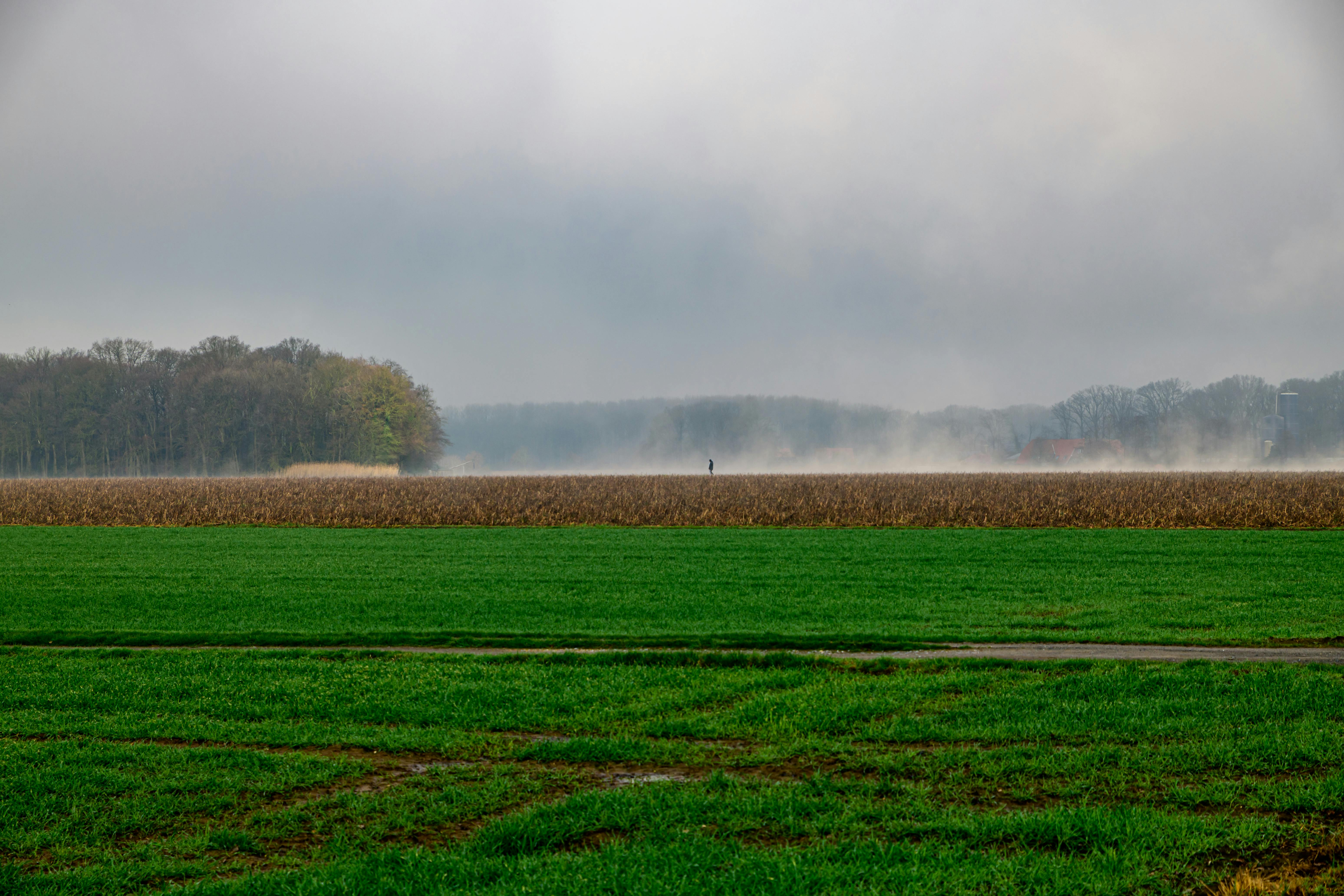 Ingyenes stockfotó békés, borongós, coesfeld témában Stockfotó