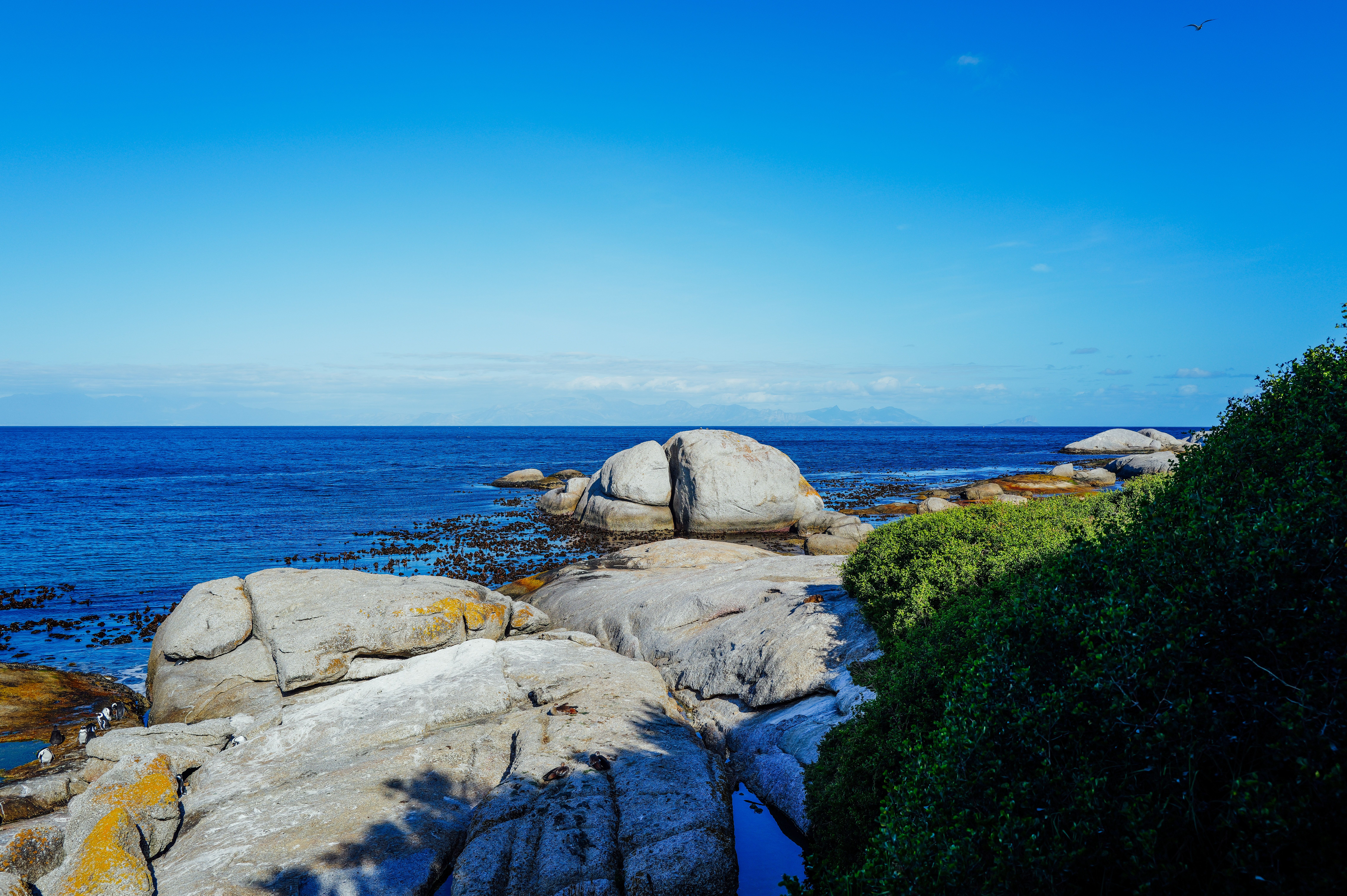 7 Day Photography and Yoga Retreat in Knysna, South Africa 3