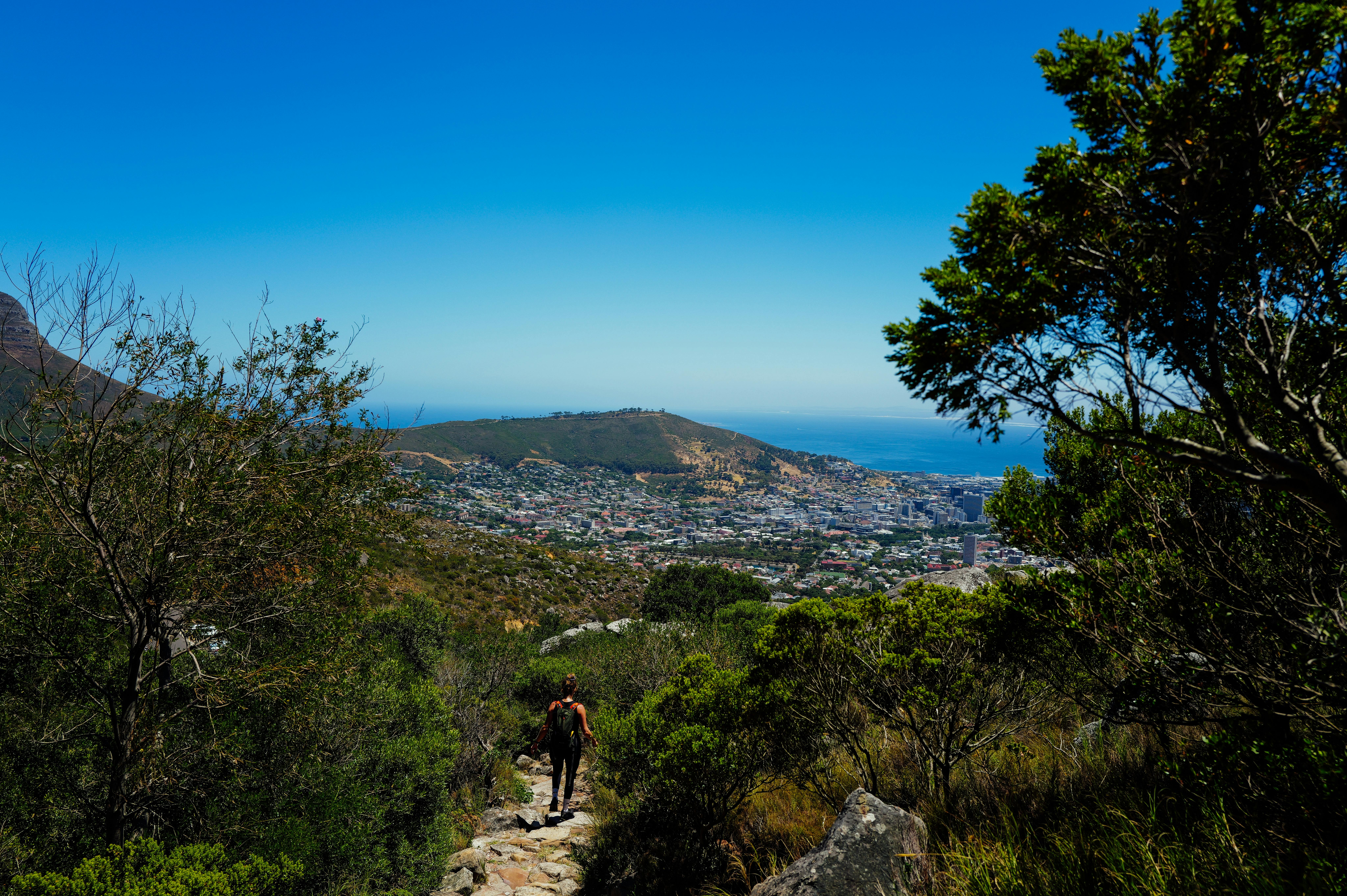 무료 케이프타운과 바다의 멋진 전망을 감상할 수 있는 아름다운 등산로를 걷는 한 명의 등산객. 스톡 사진