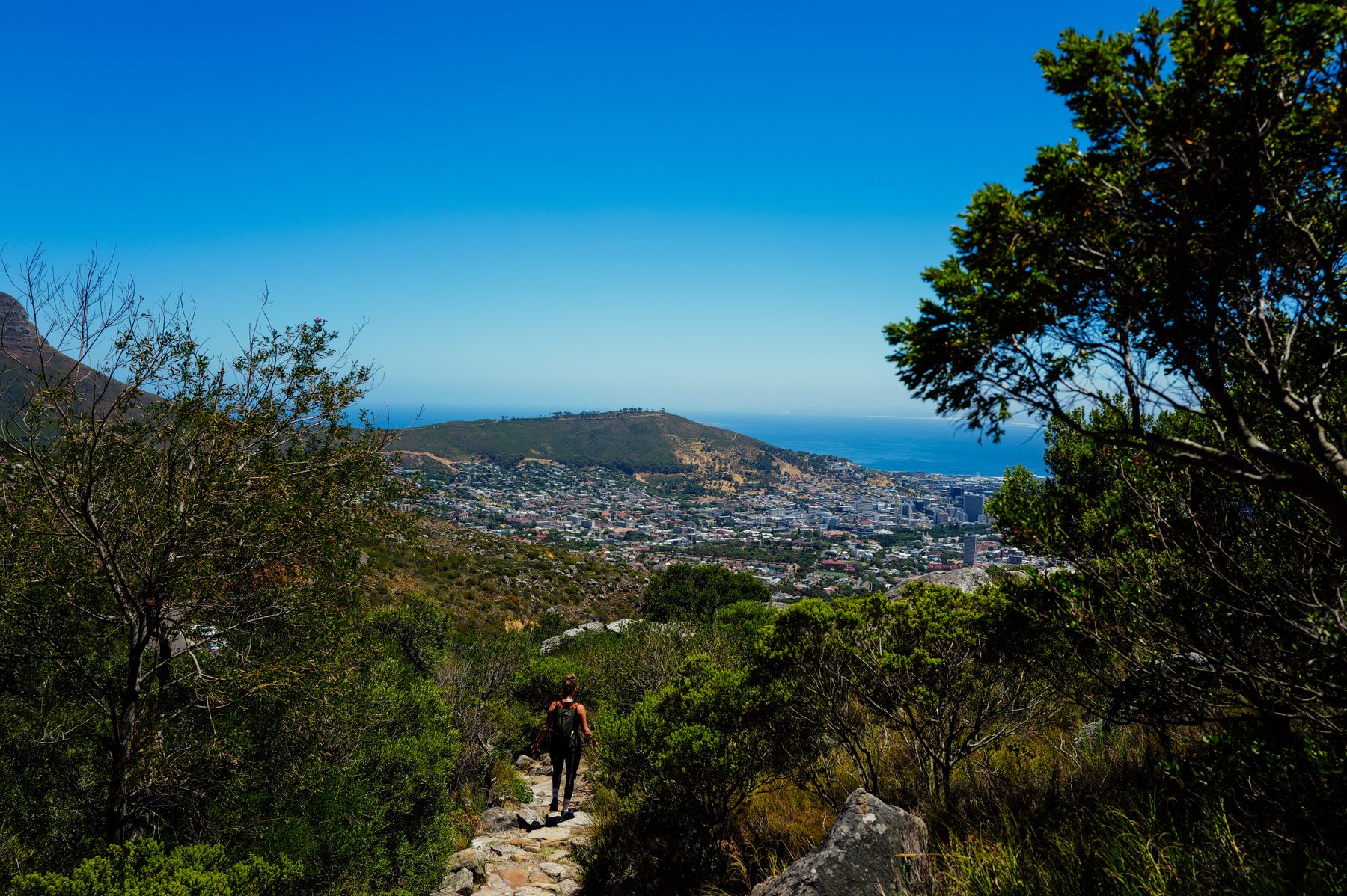 Kirstenbosch and Constantia in One Day: How to Sequence It