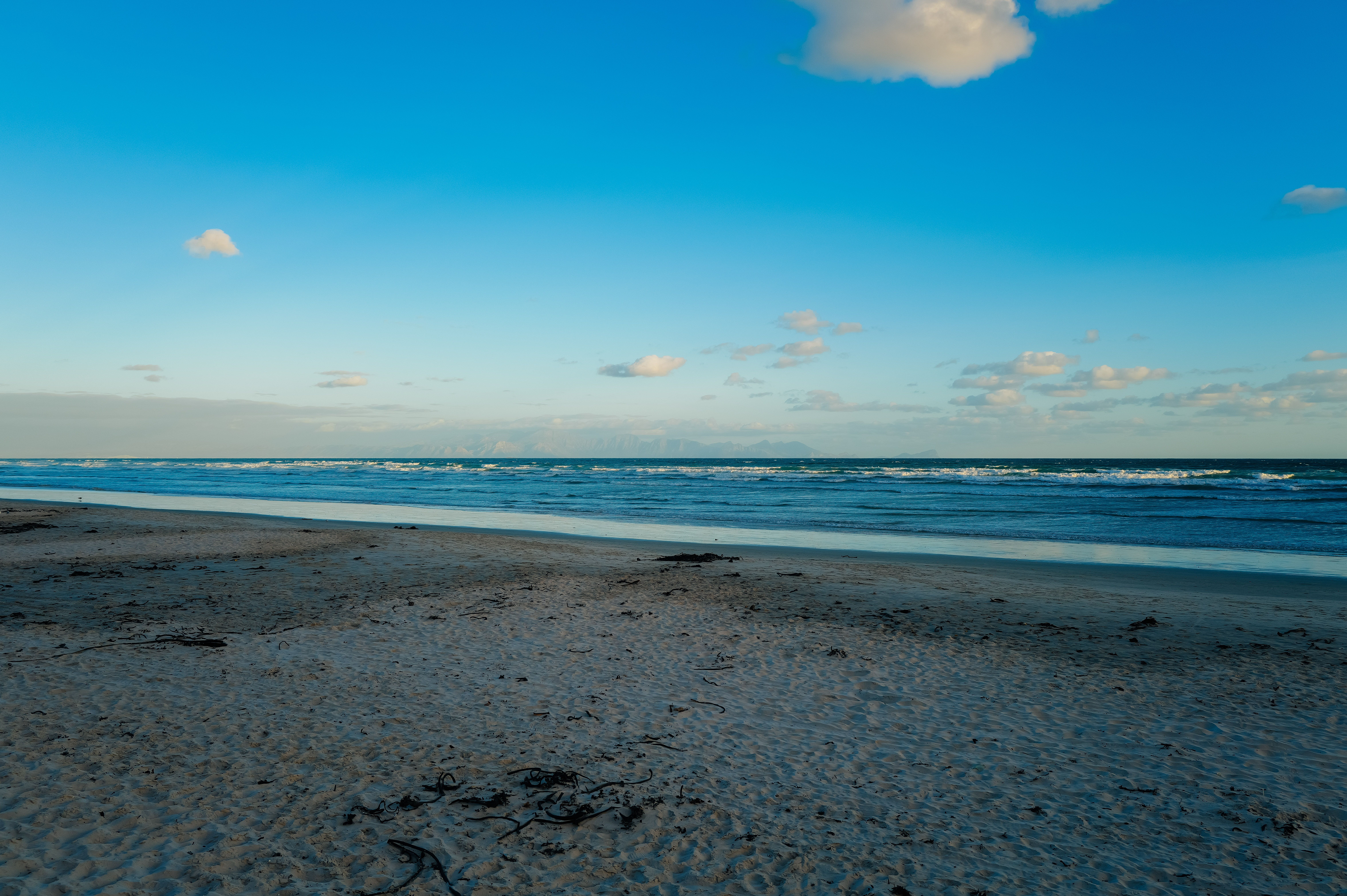 Scenic Beach View with Blue Sky and Ocean Waves · Free Stock Photo