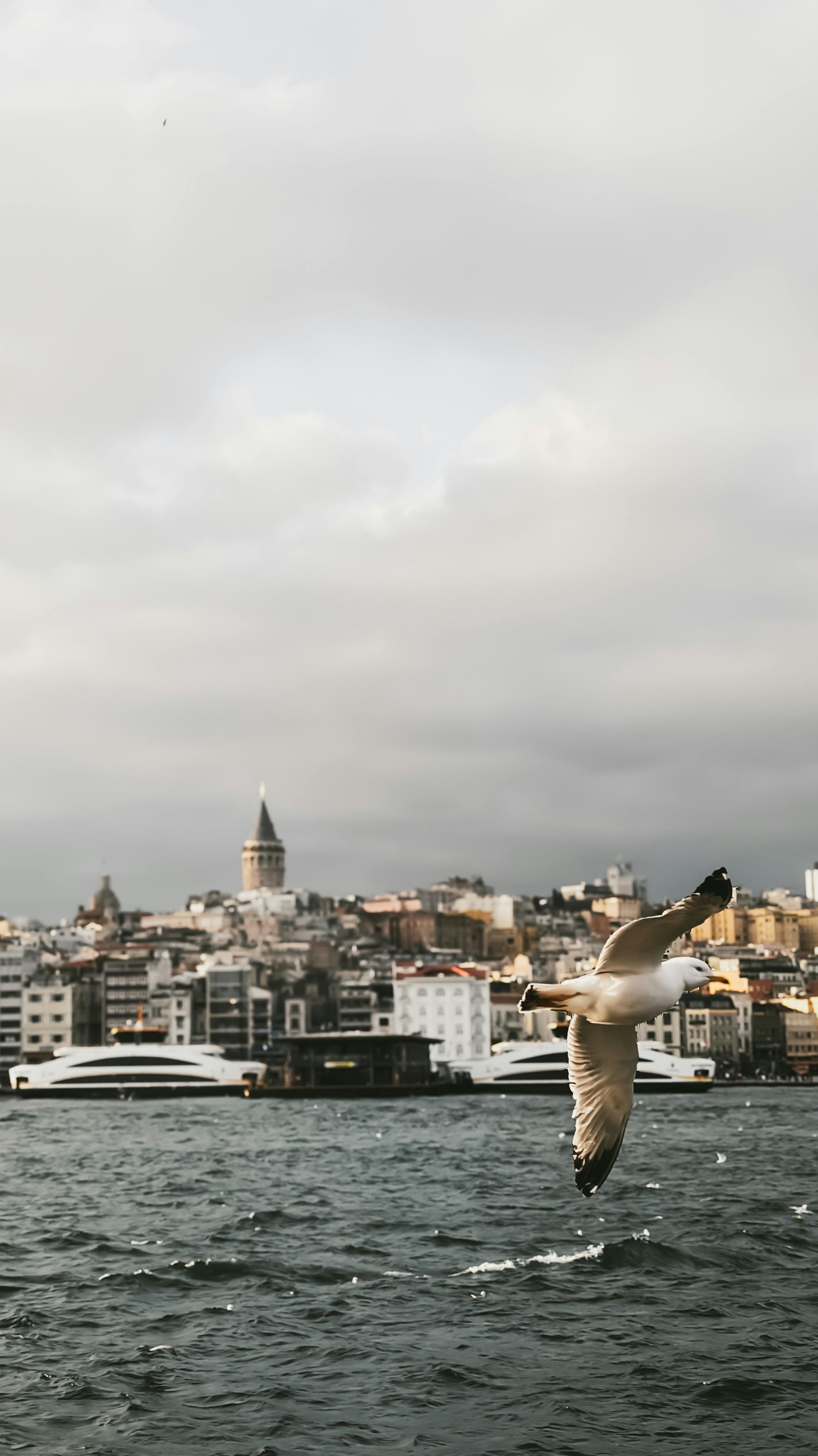 Ingyenes stockfotó beyoglu, bosphorus, csónakok témában Stockfotó