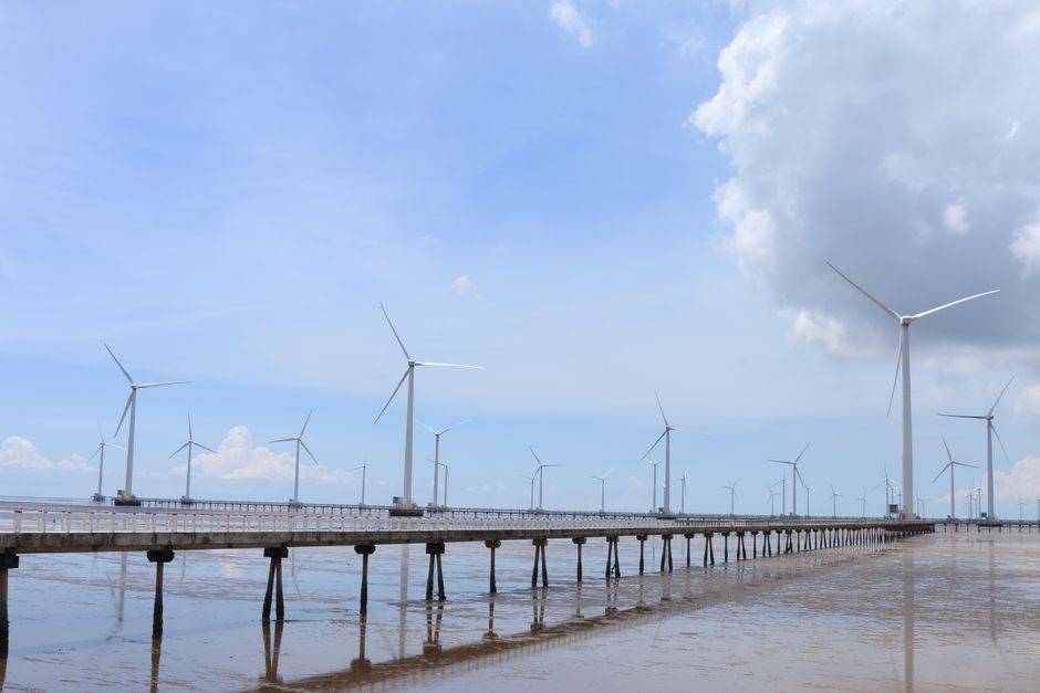 5 lợi thế năng lượng tái tạo giúp Việt Nam tự chủ 2 Trang trại điện gió ngoài khơi khai thác năng lượng tái tạo